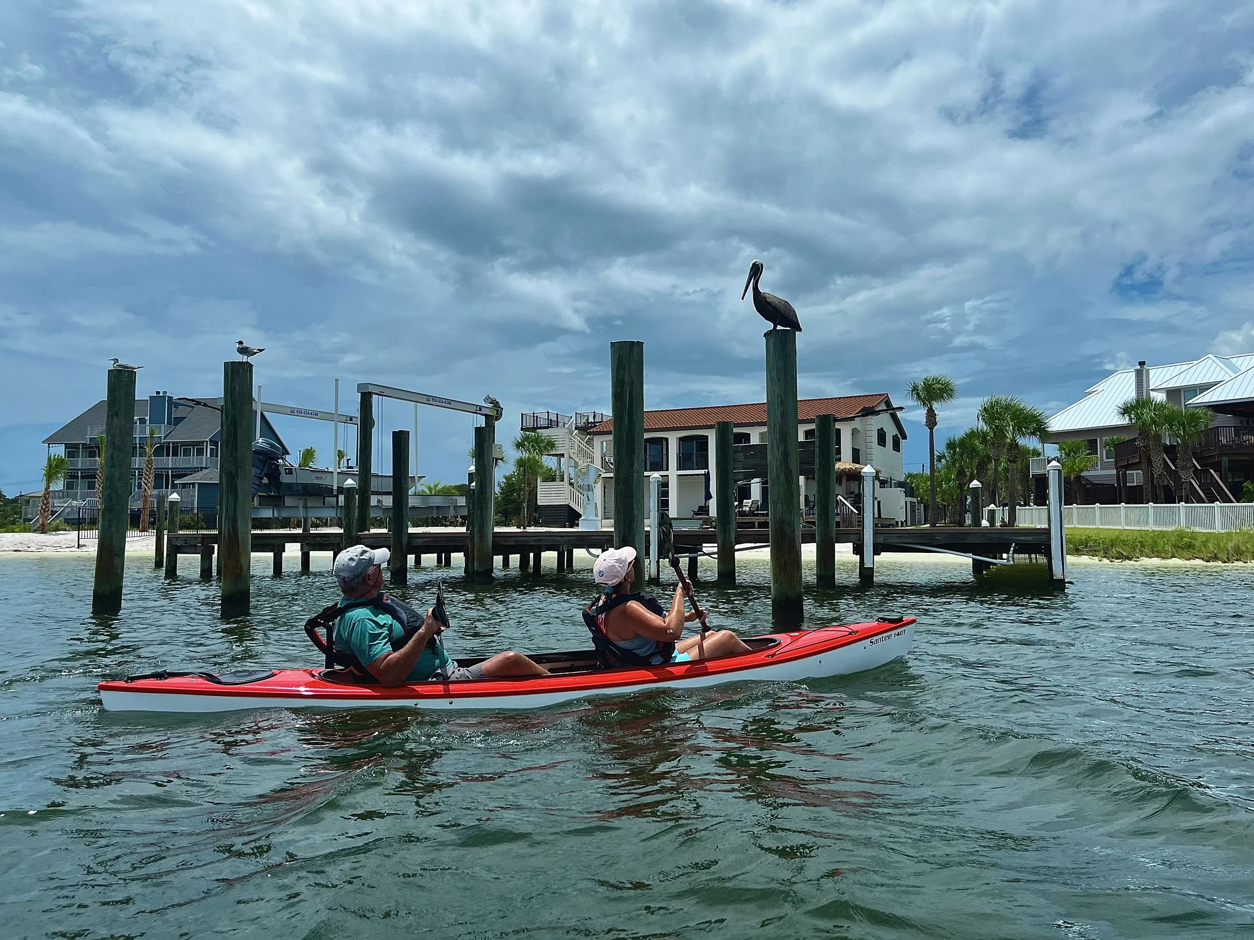 Two people kayaking on a waterway with houses, palm trees, and a pier in the background; a pelican sits on a post on the pier.