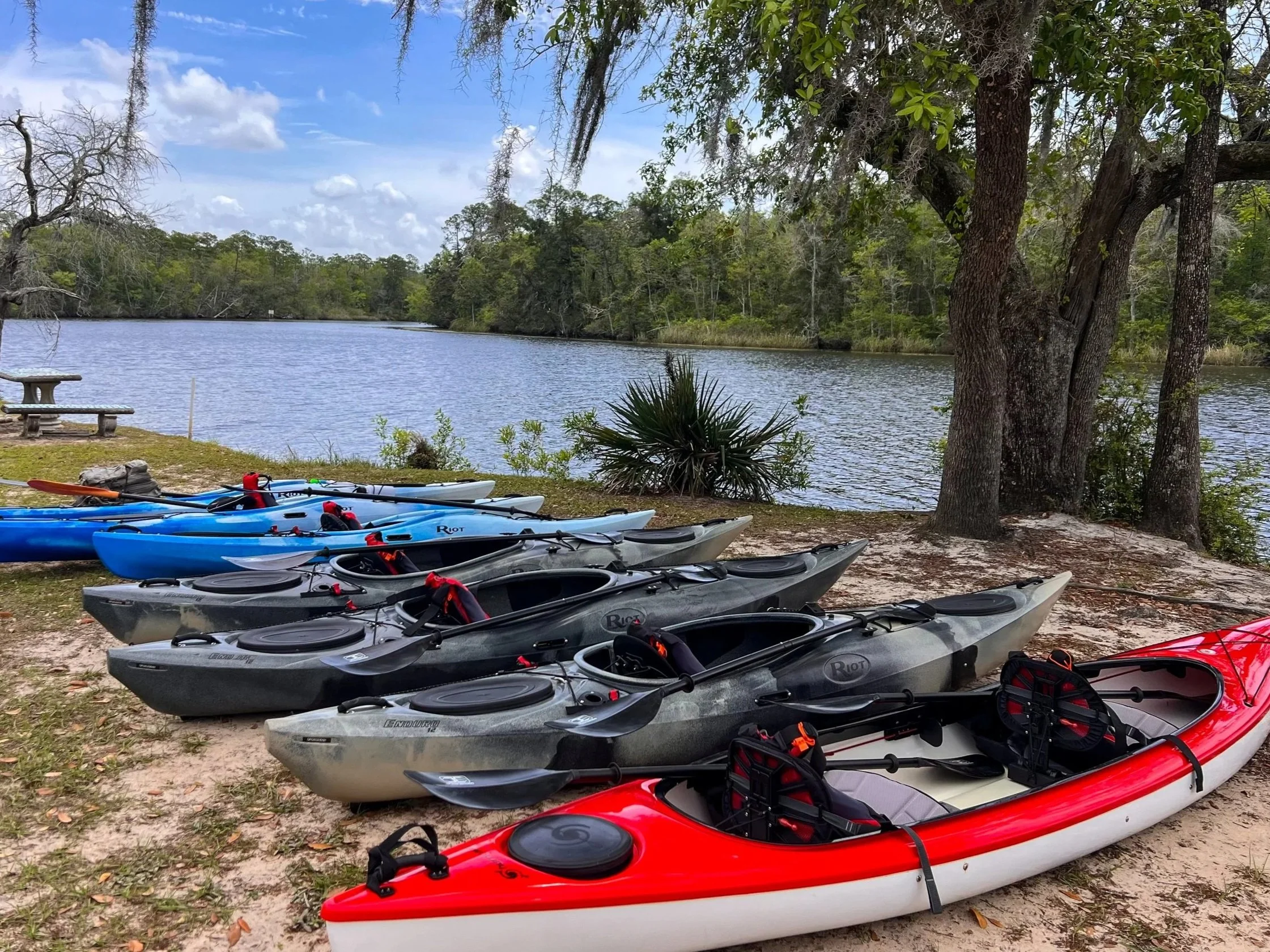 Several kayaks on a shore by a lake with trees in the background.