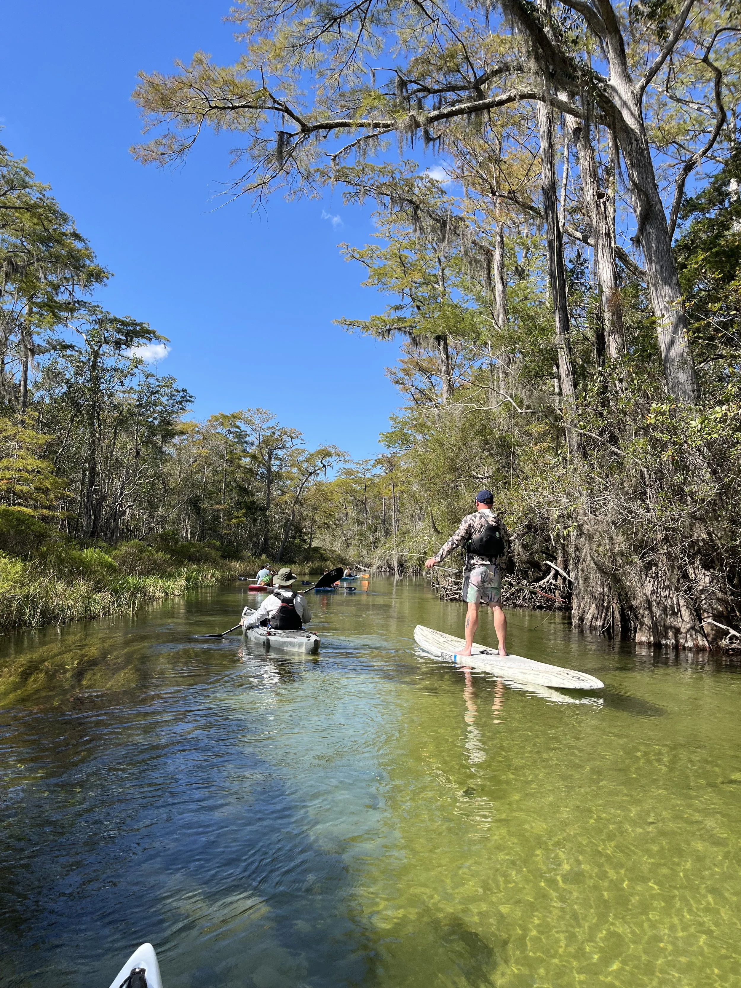 Colorful kayaks on sandy beach near shoreline with calm ocean water in the background.