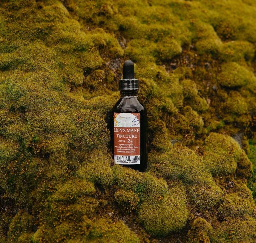 turkeytail-farm-lions-mane-tincture-moss-background.jpg