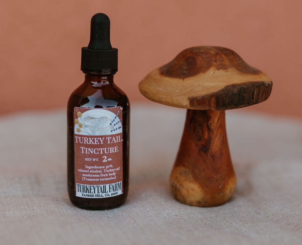 turkeytail-farm-mushroom-tincture-with-wooden-mushroom-sculpture.jpg