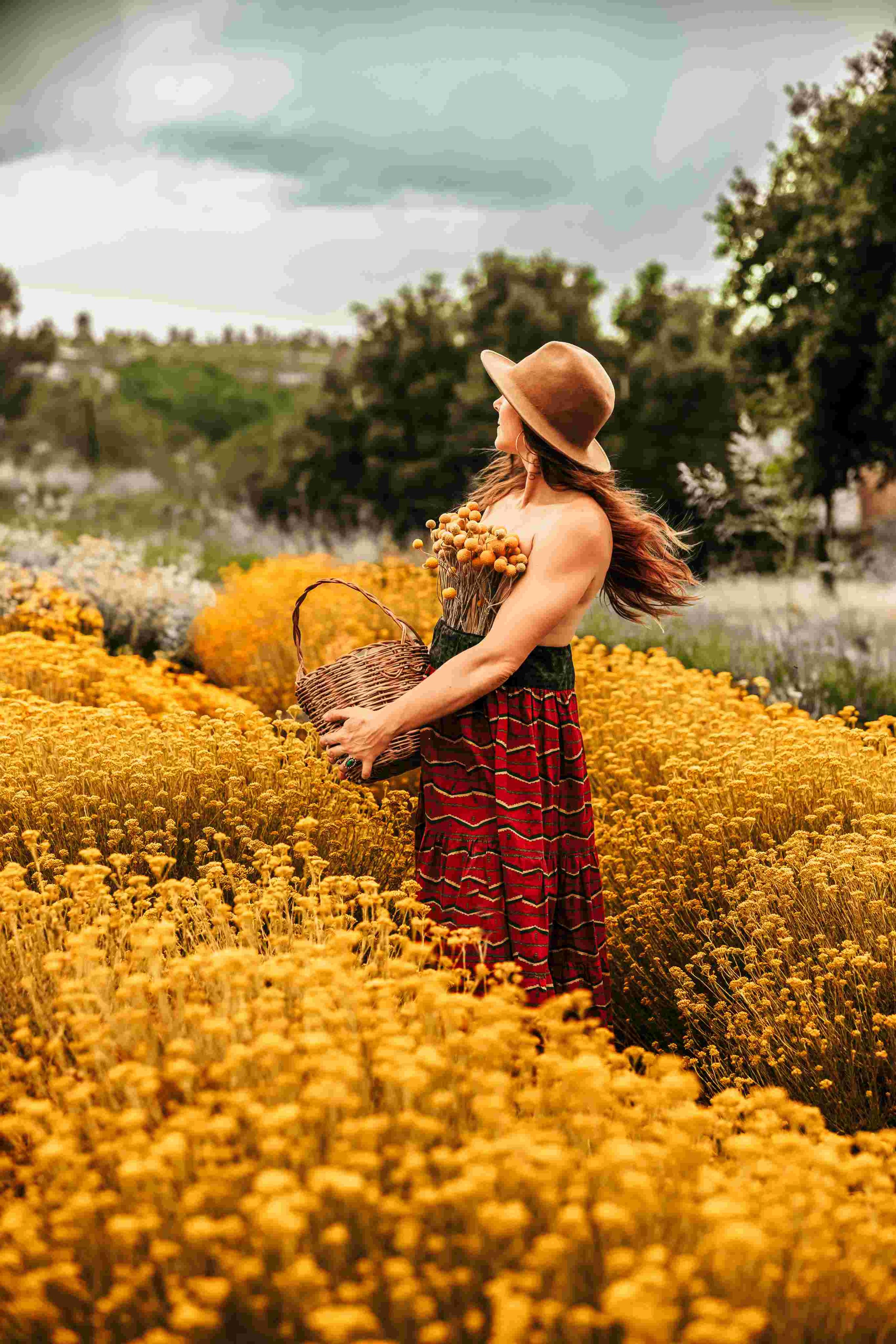 turkeytail-farm-sammey-in-helichrysum-field.jpg