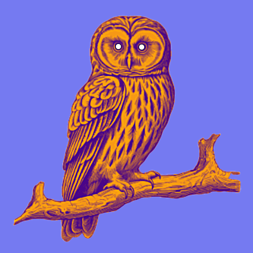 Minimalist owl illustration with white eyes, gently nodding, symbolizing attentiveness and wisdom.