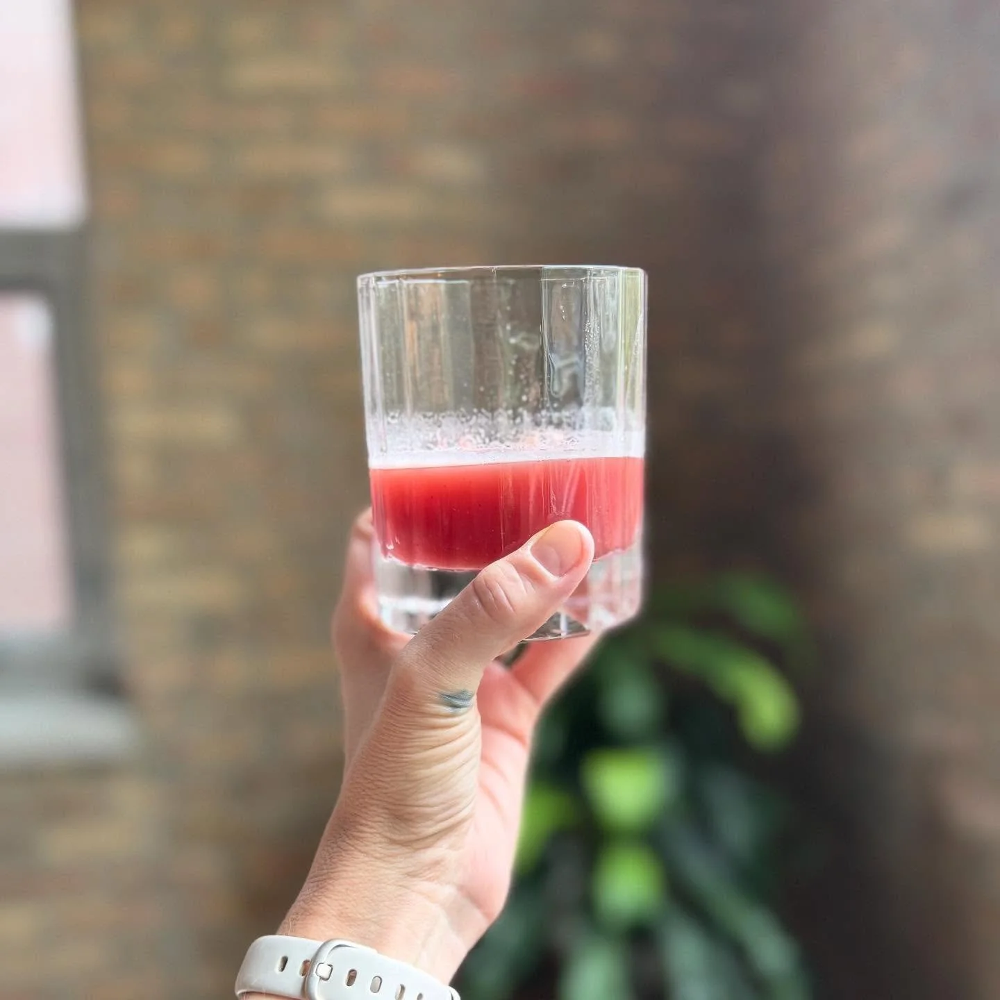 Taste testing the new fall flavor. 🫚 #cranberry #cardamom #gingerbeer