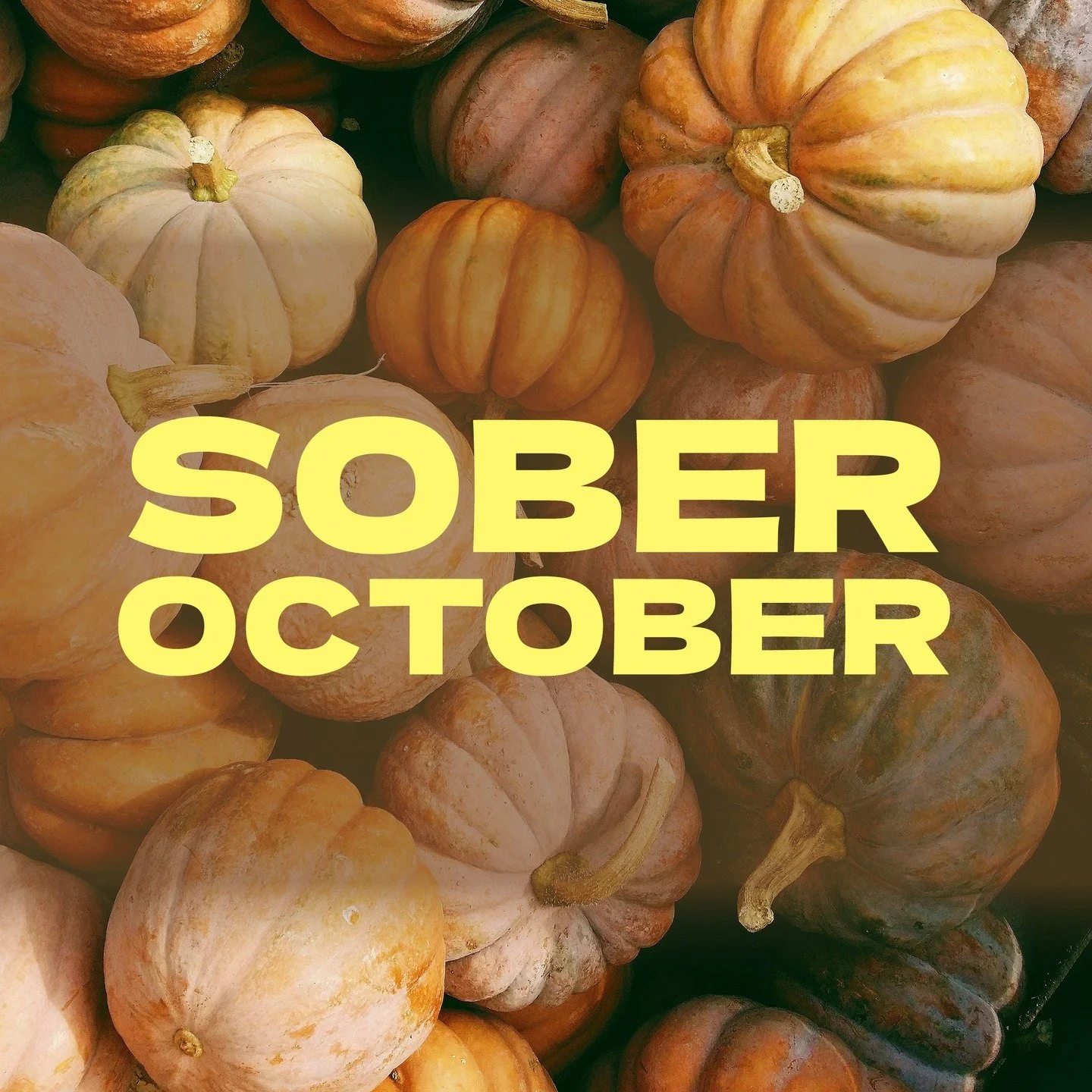 🍂 Sober October is in full swing &mdash; and we&rsquo;re here for it! 🙌
Just because you&rsquo;re skipping the booze doesn&rsquo;t mean you have to skip the flavor. Our small-batch ginger beer is bold, spicy, and totally non-alcoholic &mdash; perfe