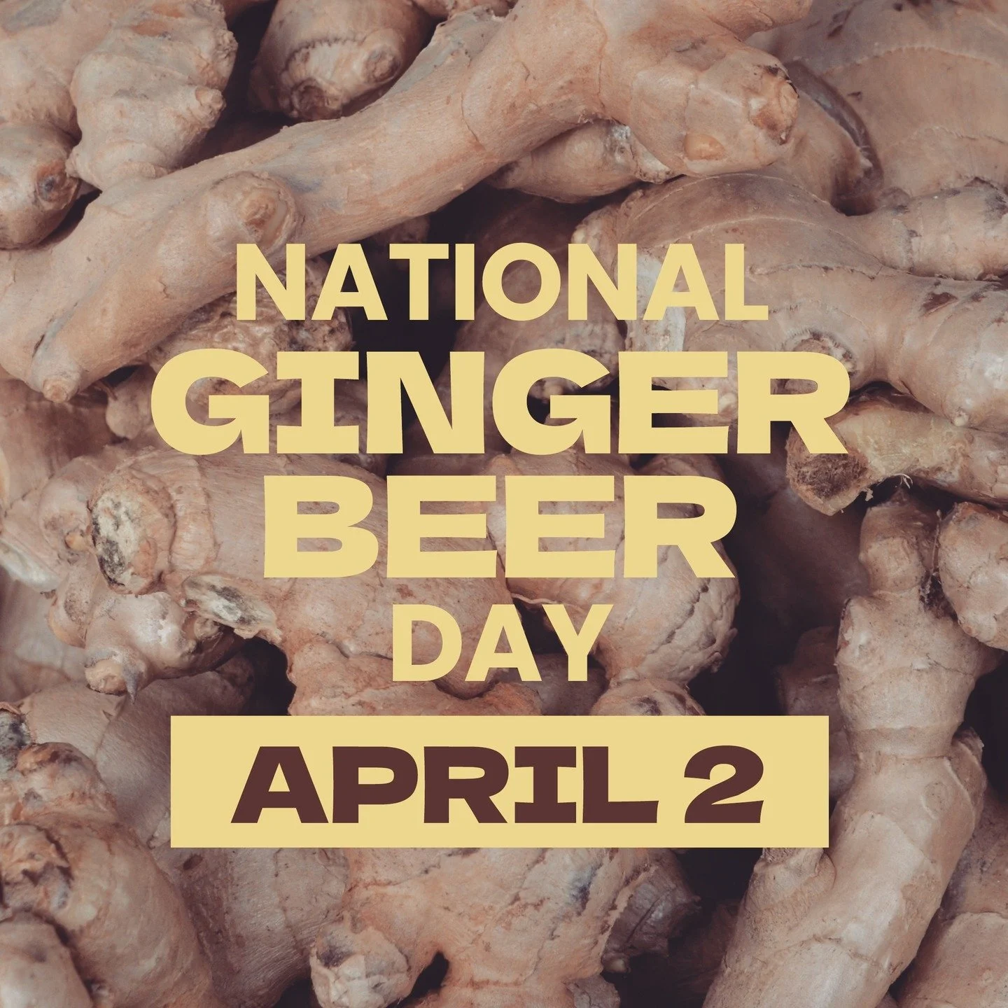 Next week is National Ginger Beer Day and we&rsquo;re ready to celebrate 🫚✨
Our growlers are stocked and waiting&mdash;perfect for sipping straight, mixing into your favorite cocktails, or bringing a little extra sparkle to your gathering. Choose fr