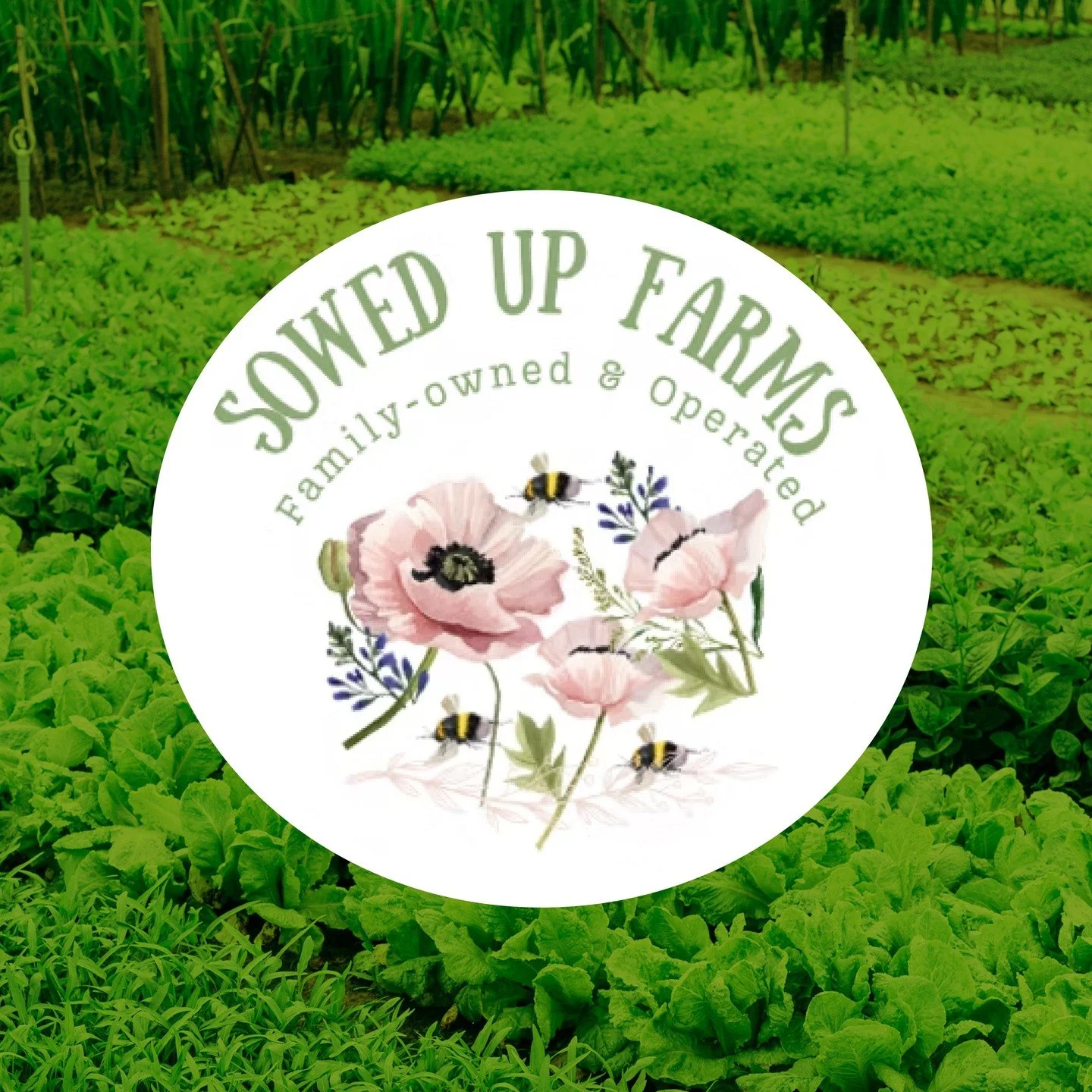 We&rsquo;re SOW pumped to be partnering with Sowed Up Farms for our summer flavors 🌱✨
This Black women-owned, family-run farm on Chicago&rsquo;s West Side is doing incredible work, and we&rsquo;re honored to collaborate with them.
Stay tuned&hellip;
