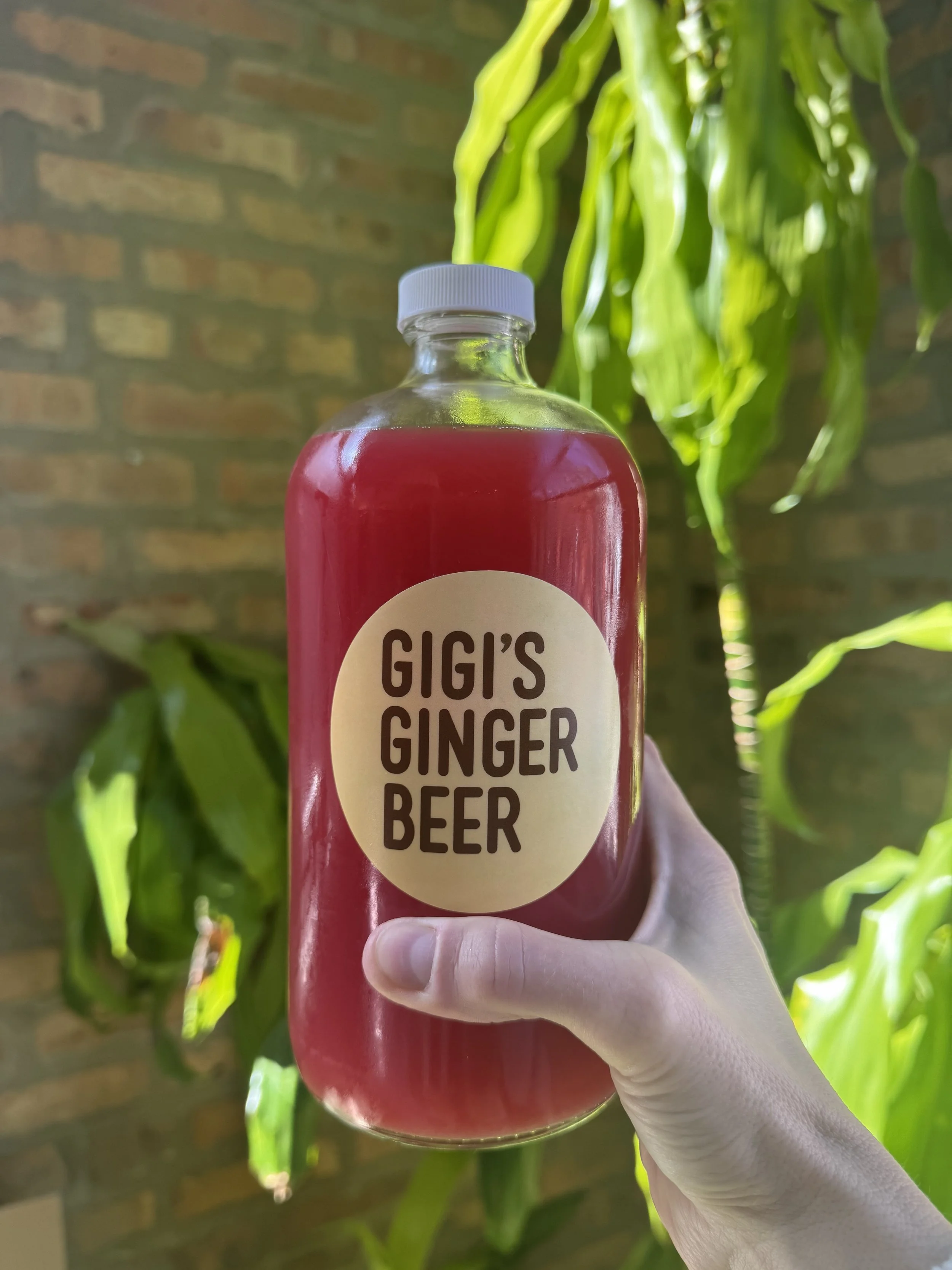 32oz growler - hibiscus