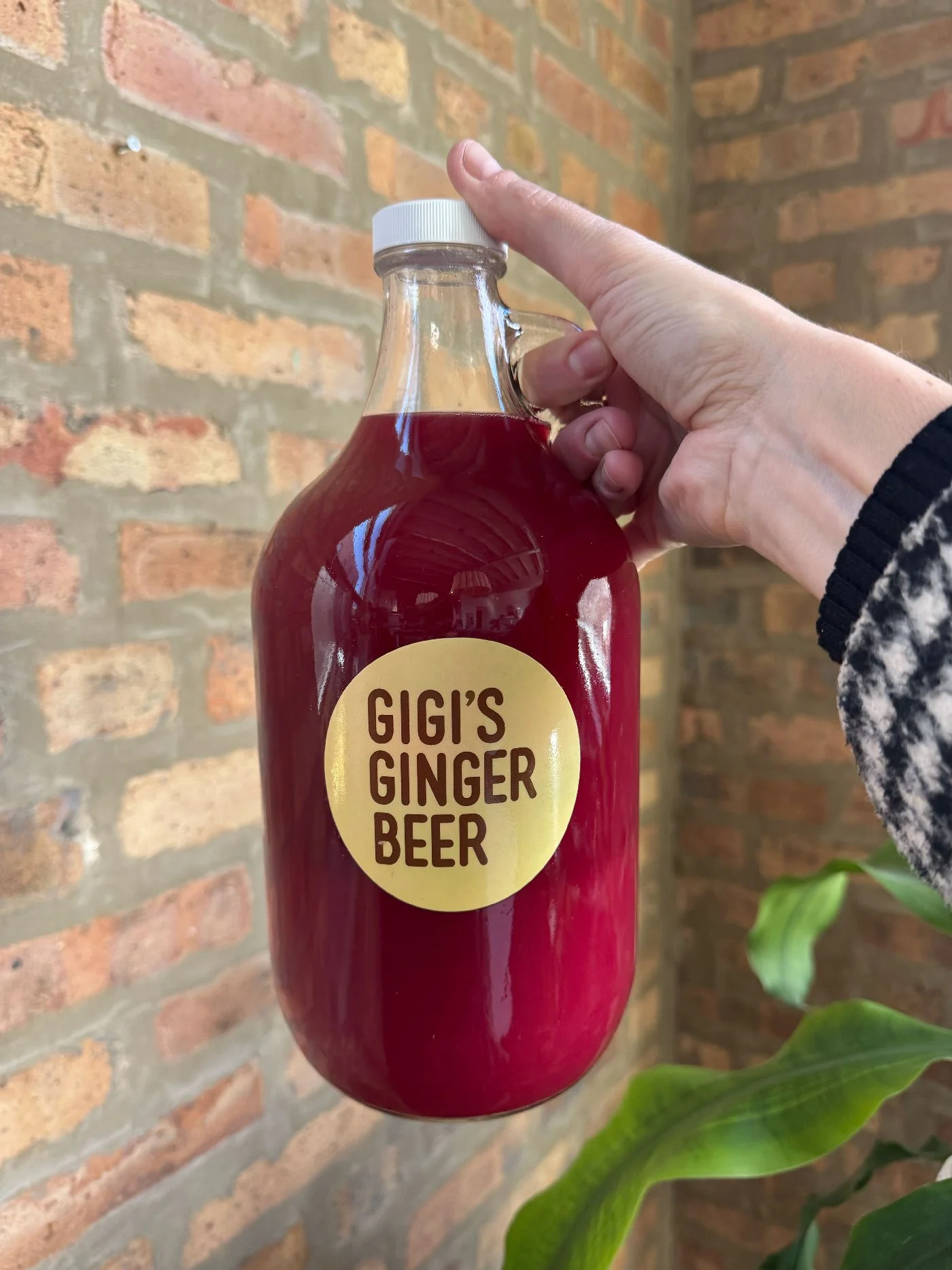 64oz-CranberryCardamom-brickwallwithhand.jpg