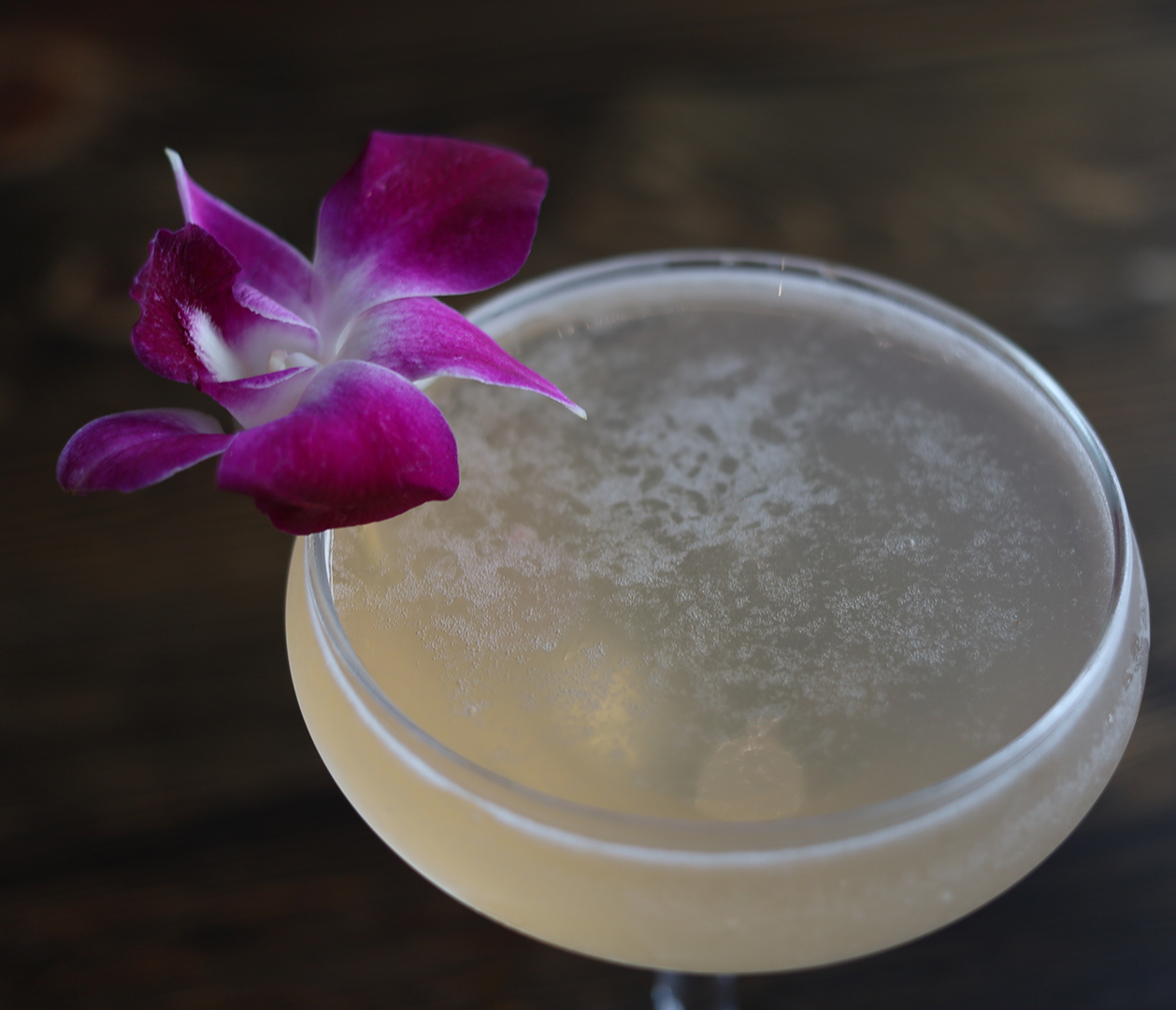 birds eye orchid champagne.png