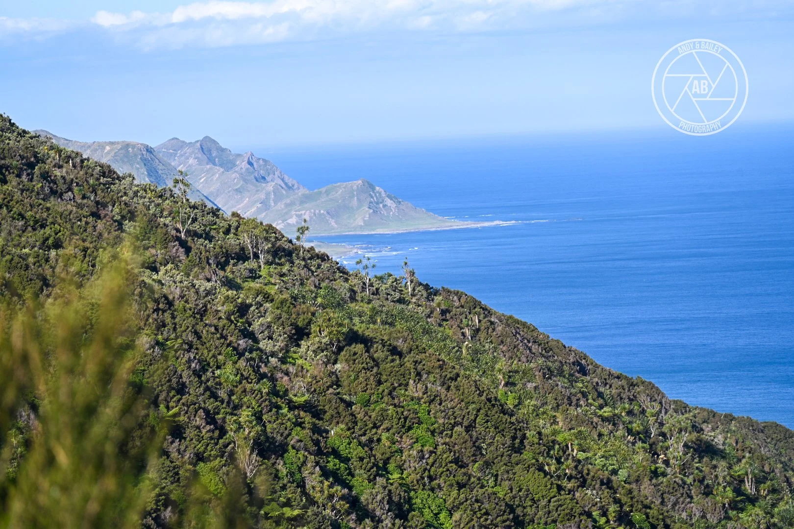 Coastal view of green forested hills meeting the ocean at The Last Resort, Wairarapa.