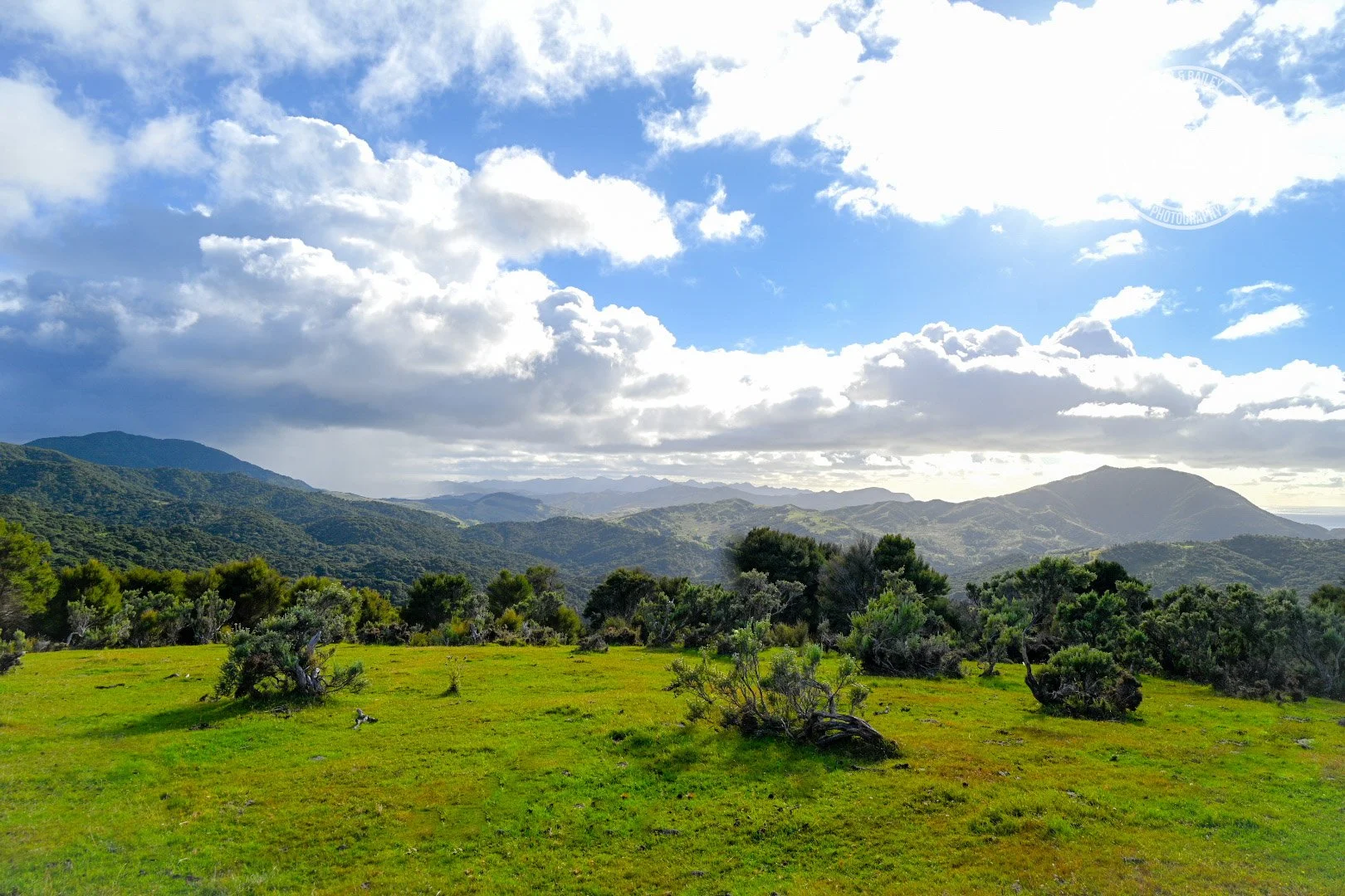 A rural view of rolling green hills with shrubs and trees, under a partly cloudy sky at The Last Resort trail walk in Wairarapa.