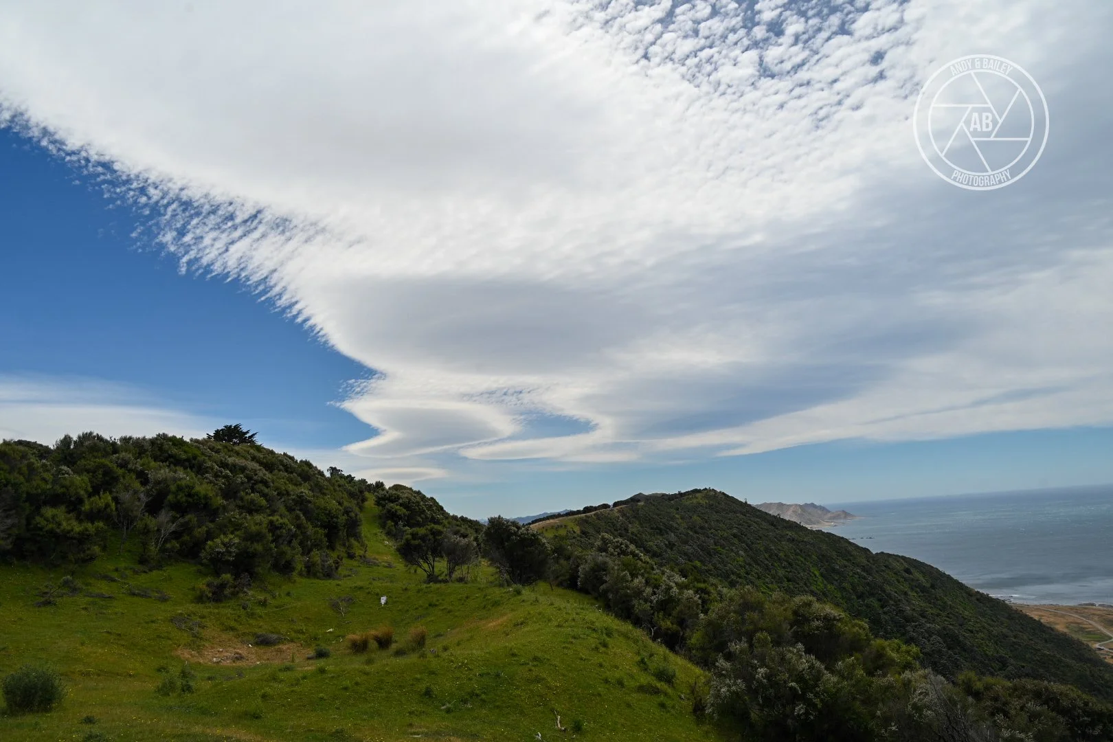 Green hills with trees overlooking the ocean, at The Last Resort, Tora, Wairarapa.