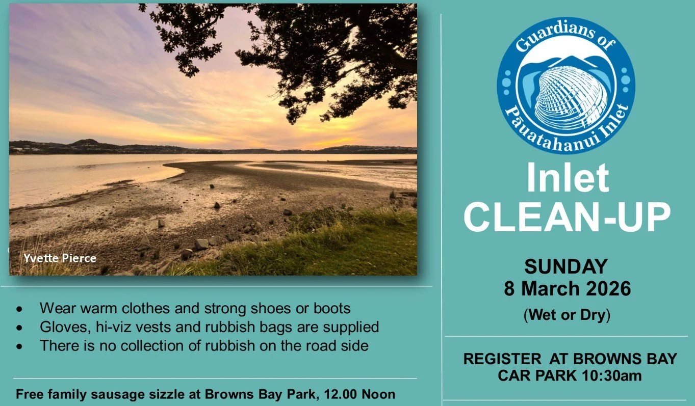 Annual Guardians of Pauatahanui Inlet Cleanup