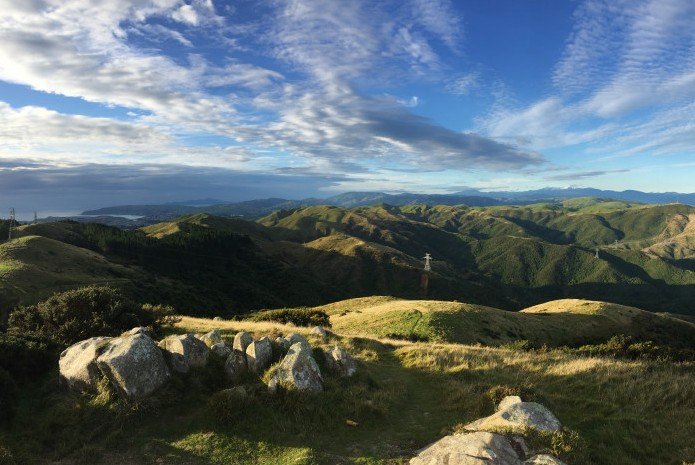 An expansive view from the tops of Belmont Regional Park
