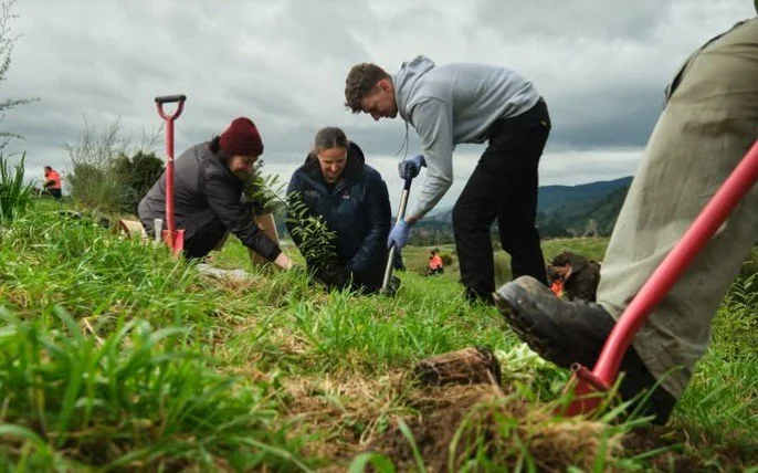 People digging holes and planting trees