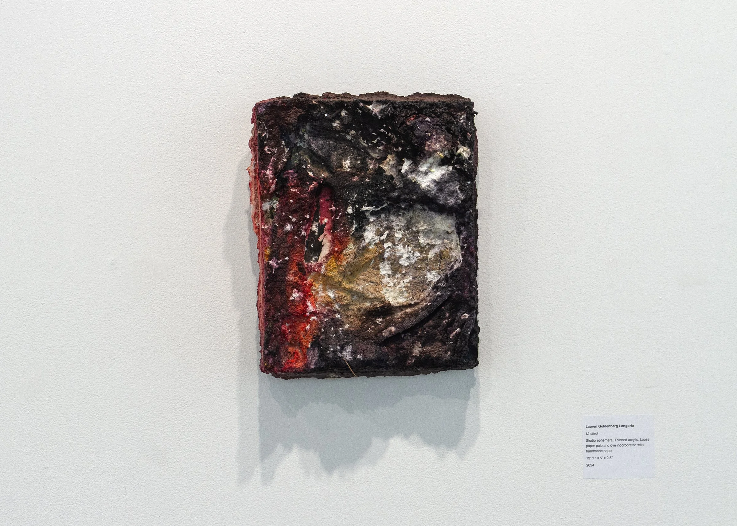Lauren Goldenberg Longoria-Untitled