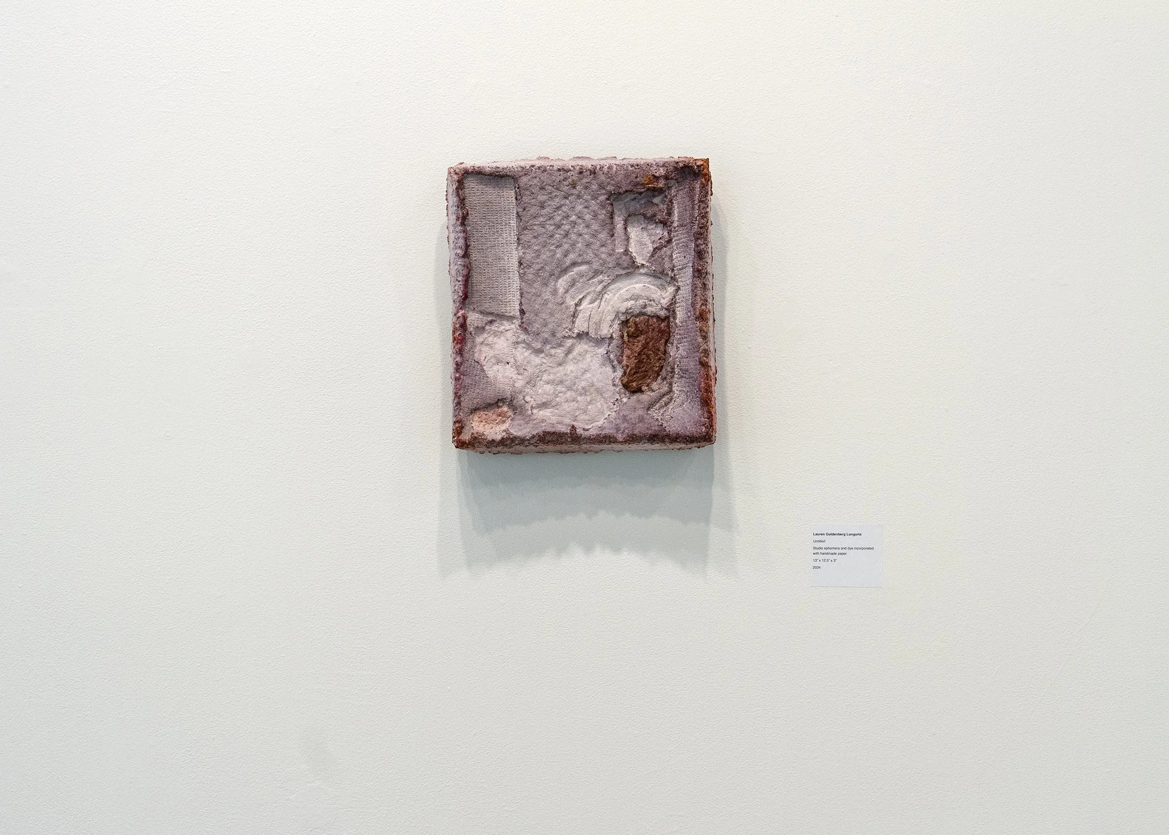 Lauren Goldenberg Longoria-Untitled