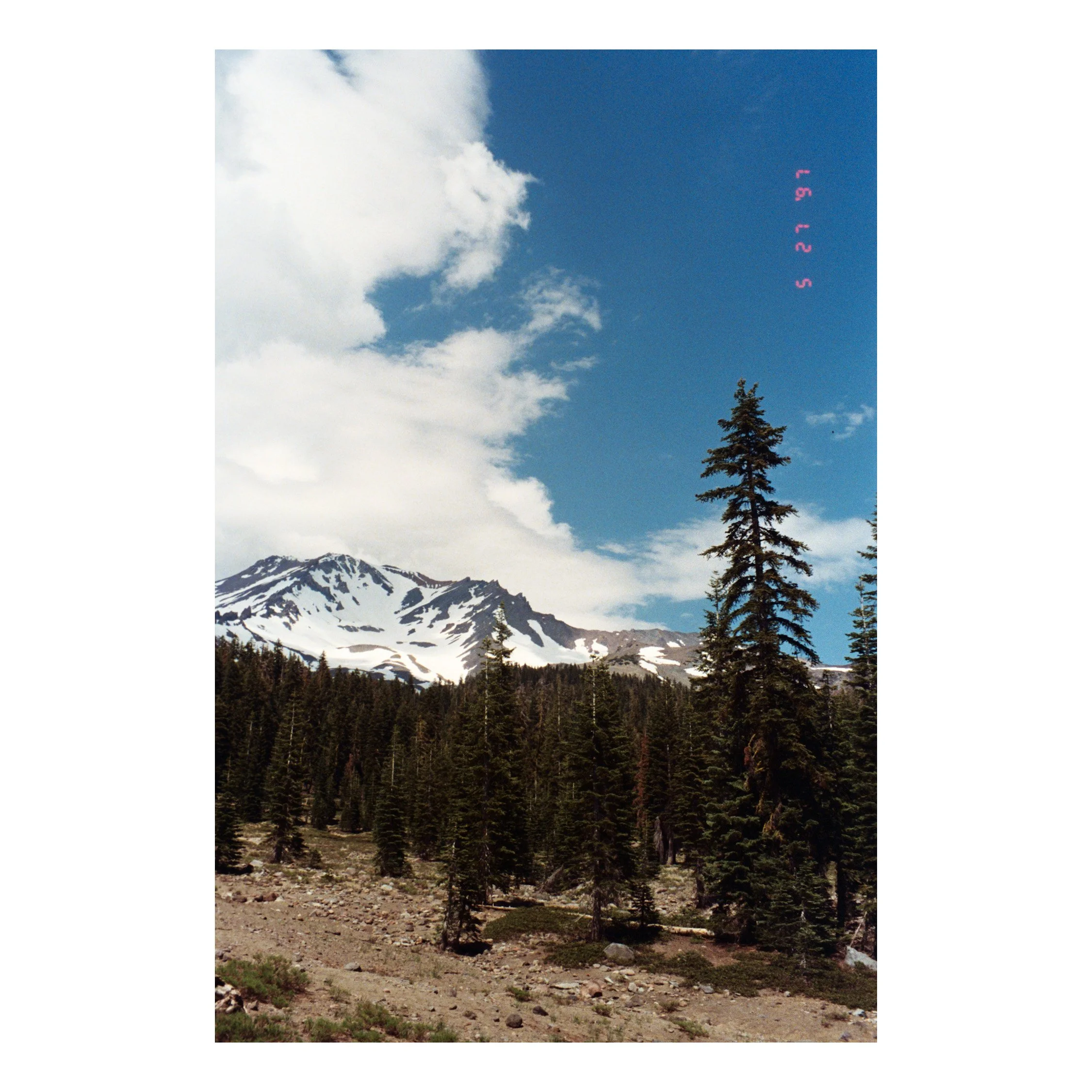 Photo Dec 08 2025, 6 17 55 PM (4).jpg