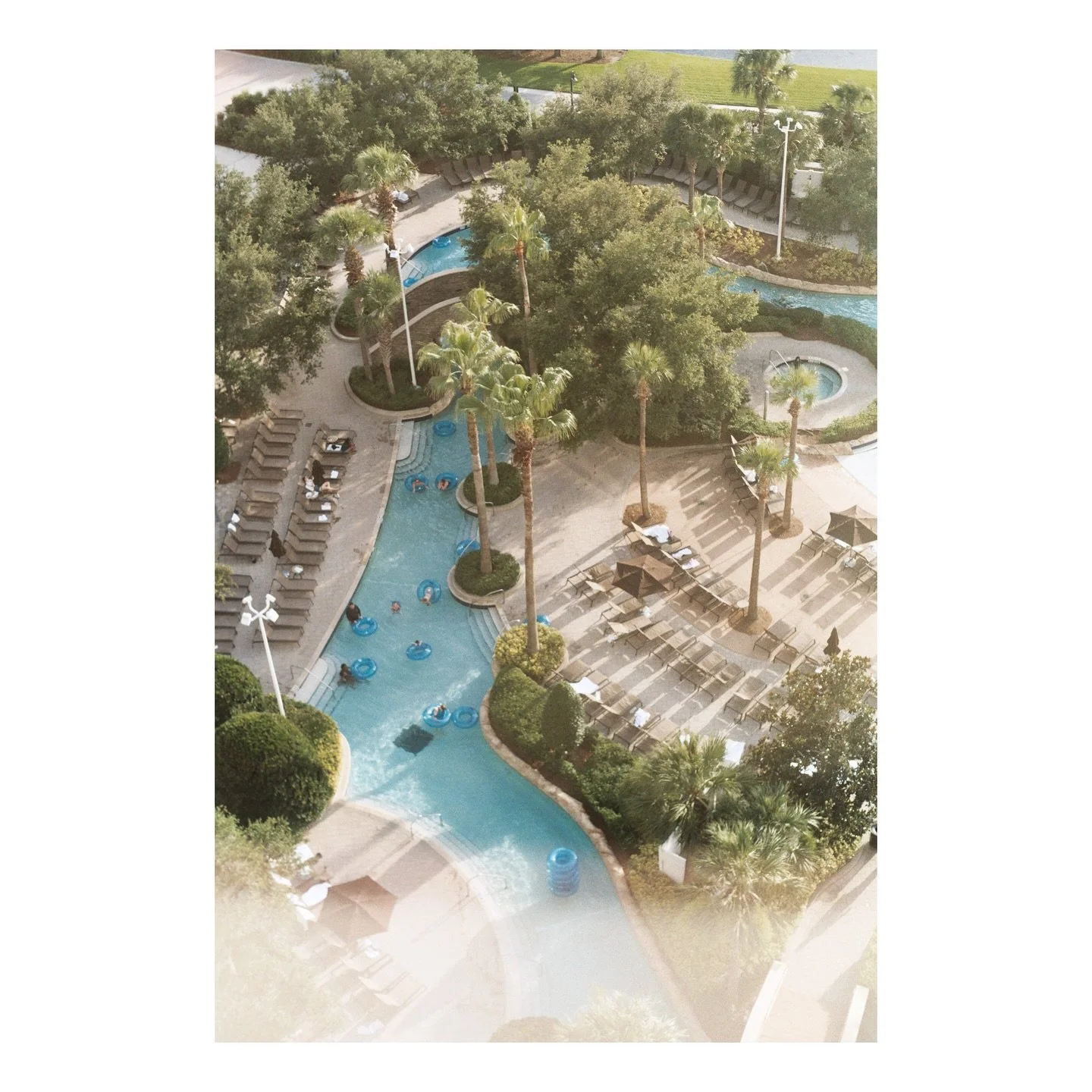 film dump friday 😸😸😸

some wonderful scenes from @valentinarosephoto - she has a few of these for sale as prints so make sure to check her out!

till next week 
<3 alex from homebrewed 

#filmlab #fujifilm #kodakfilm #swflfilmlab #fortmyers #fi