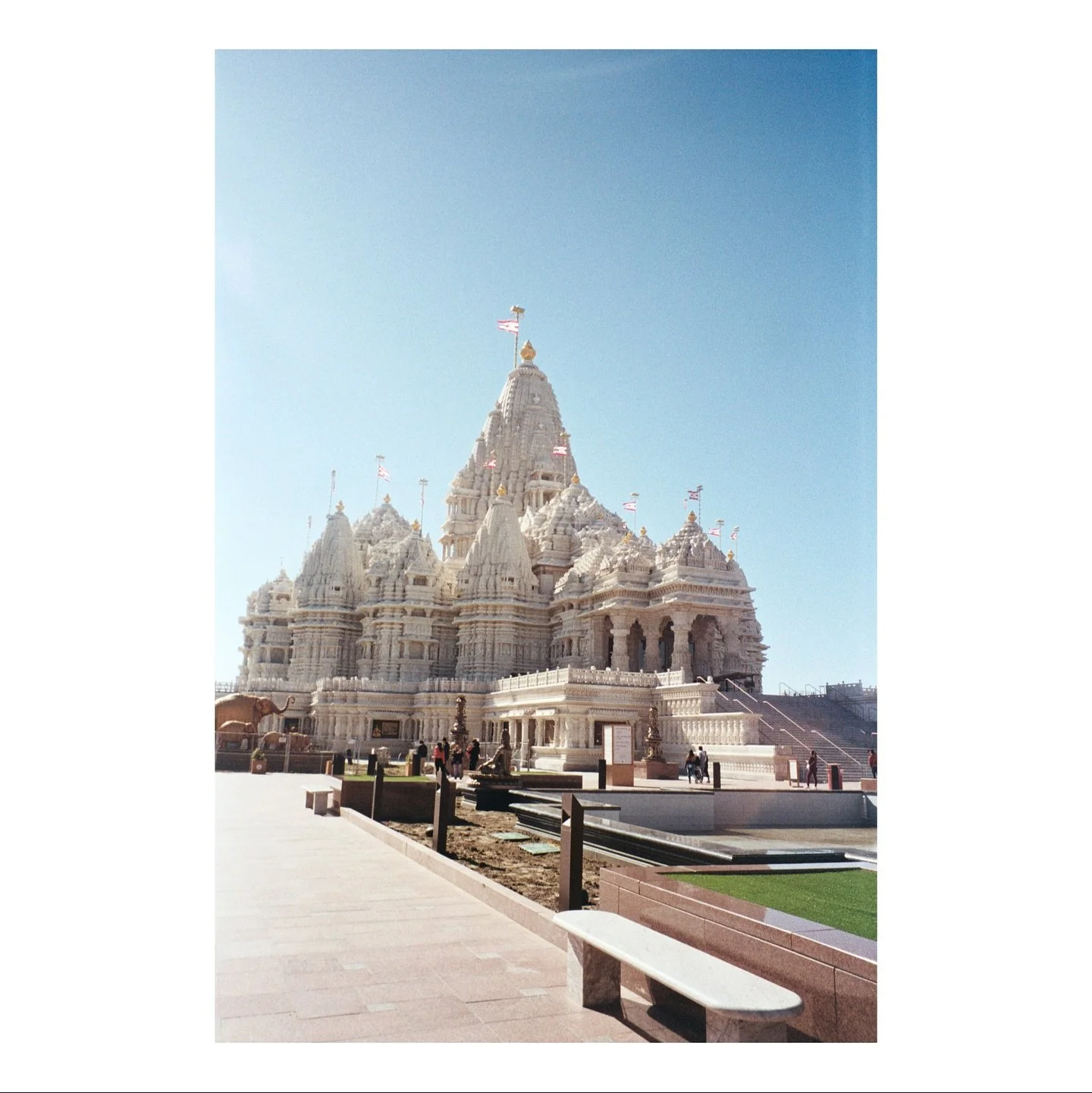 FILM DUMP FRIDAY!!

some incredible scenes from carlos taken on @kodak gold

#film #35mmfilm #kodak #kodakfilm #swflfilmlab #homebrewedfilmlab #filmphotography #kodakgold #kodakgold200 #filmlab