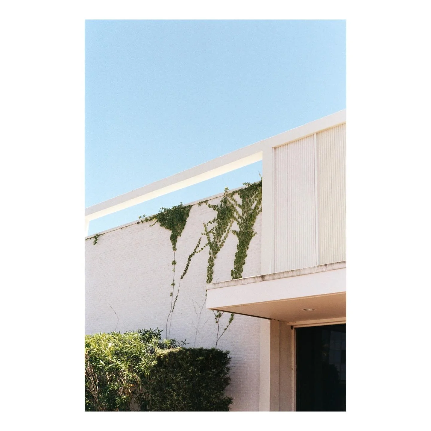 can&rsquo;t get over how good color plus and the new scanner is. thank you everyone for your patience during this transitionary period 😸

side note, if you dropped off film in the past few weeks i am starting to get it rescanned with my new scanner!