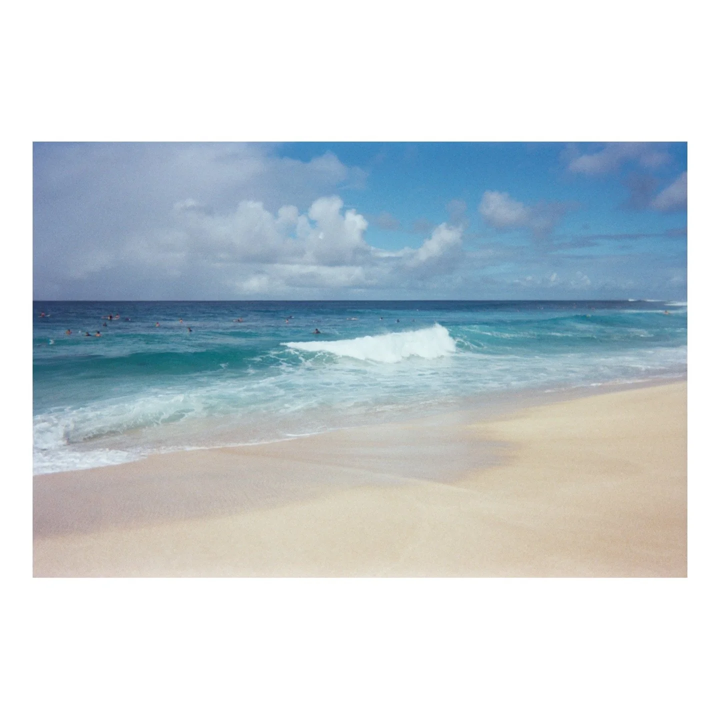 film dump friday 😸😸😸 

@haley__cole dropped off a few @fujifilm_profilm disposable cameras recently and i can&rsquo;t get over how good they came out 

#disposablecamera #35mmfilm #fujifilm