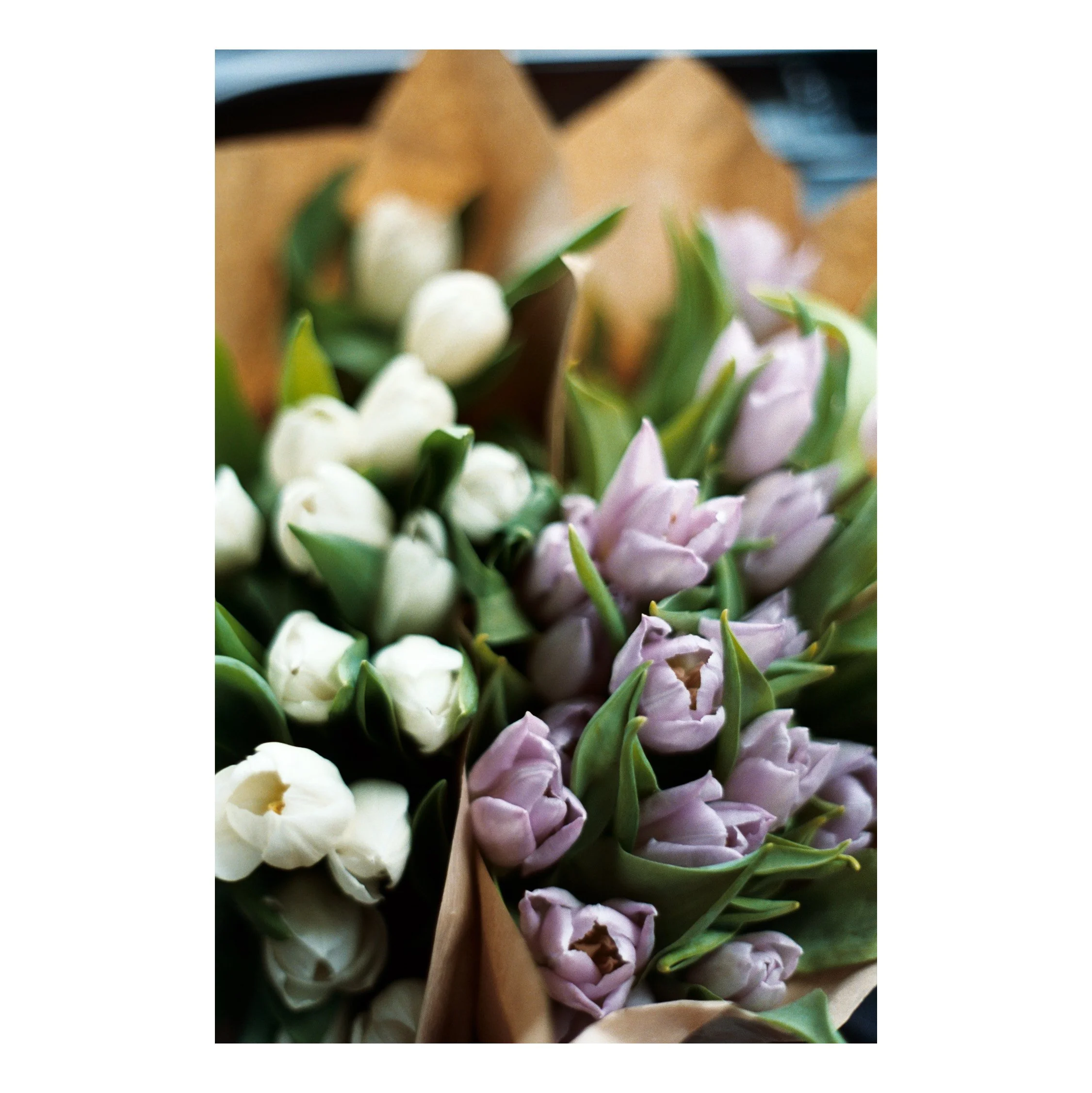 Photo Nov 05 2025, 4 35 43 PM (4).jpg