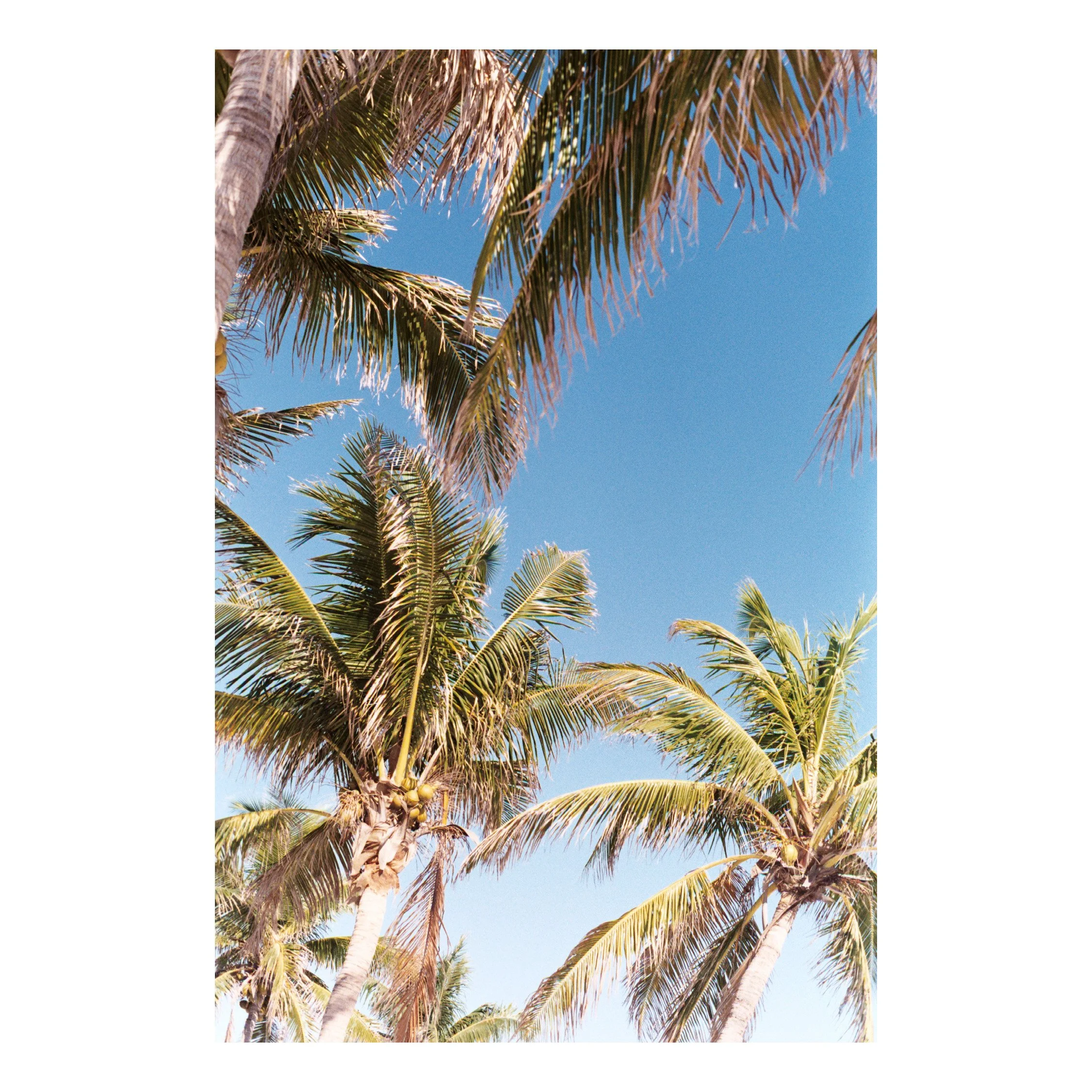 Photo Nov 05 2025, 4 35 43 PM (3).jpg