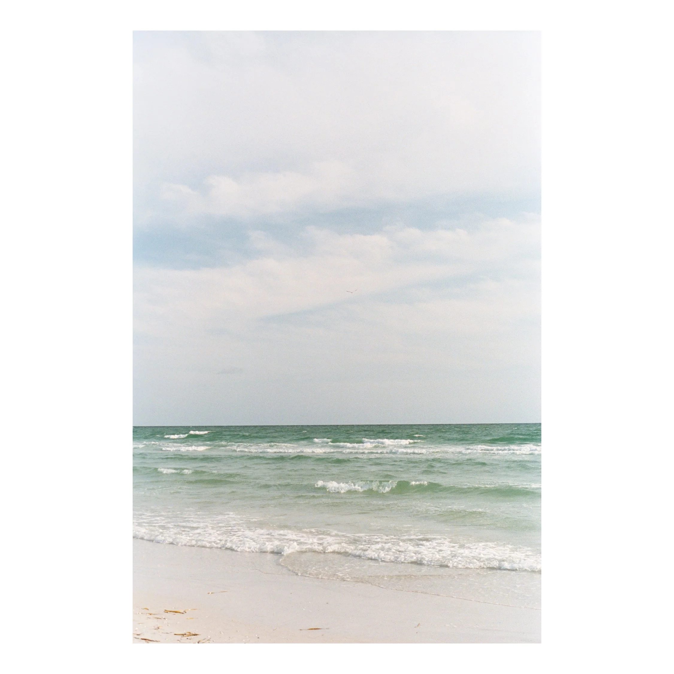 Photo Nov 05 2025, 4 35 43 PM (6).jpg