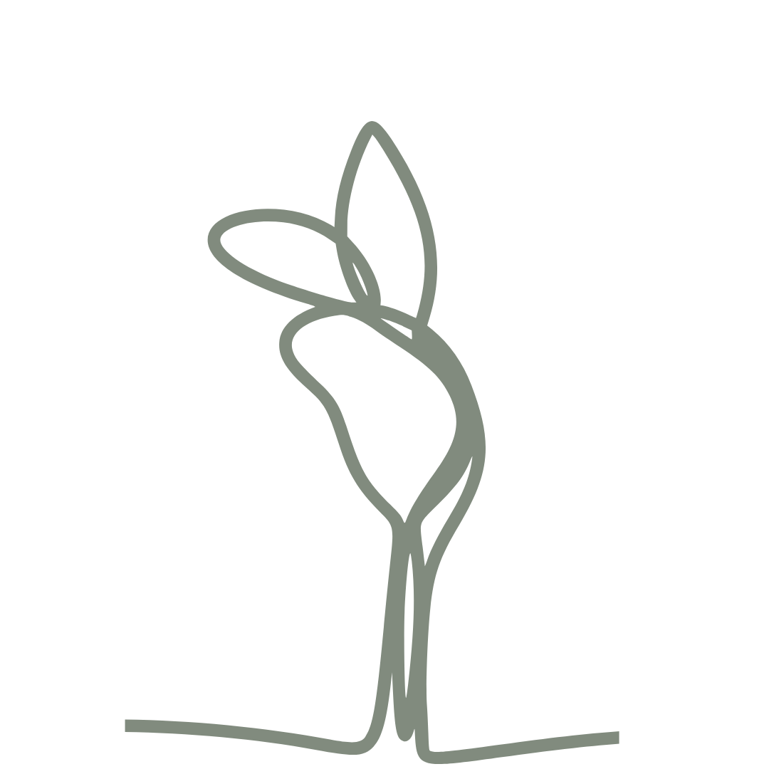 Minimalist line drawing of a sprouting plant with two leaves emerging from a small mound.