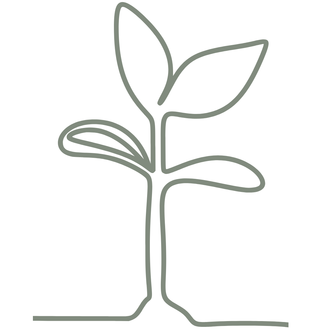 Minimalist line drawing of a young plant with two leaves.
