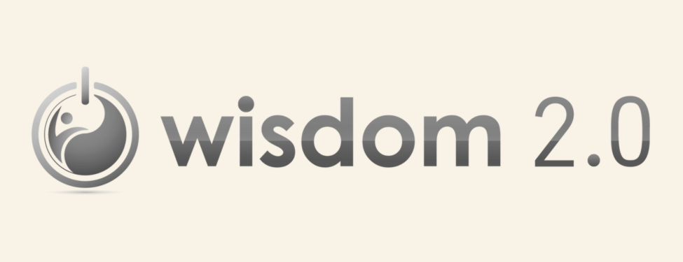 Logo with a lightbulb and the words 'wisdom 2.0'