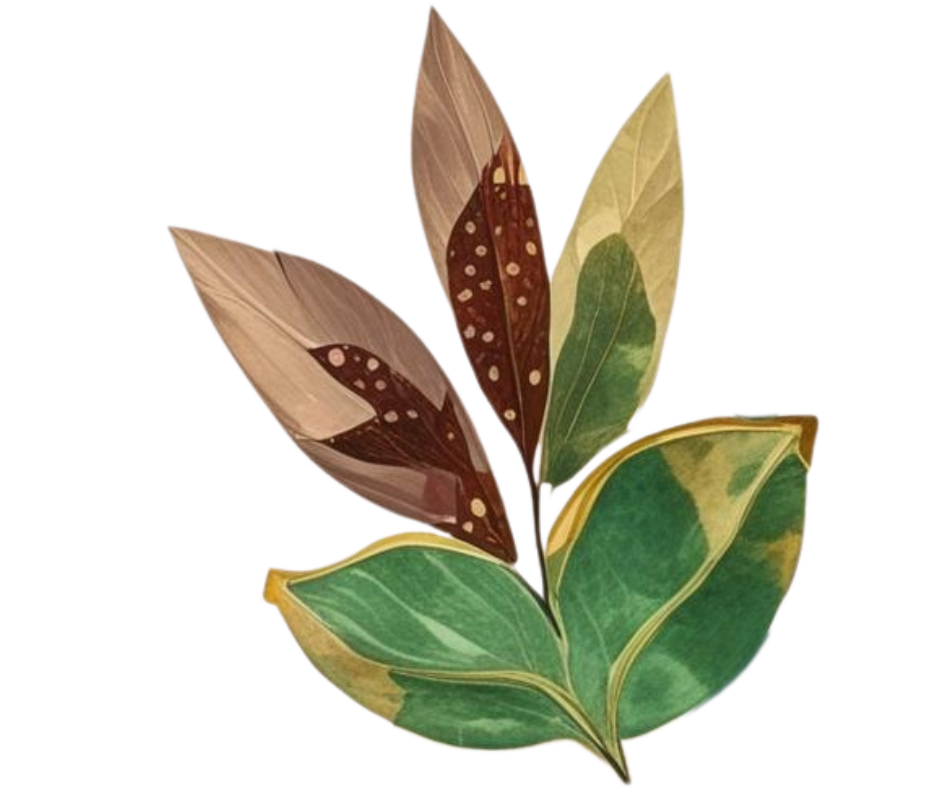 Close-up of a decorative arrangement of several leaves in different colors and patterns, including green, yellow, brown, and variegated leaves.