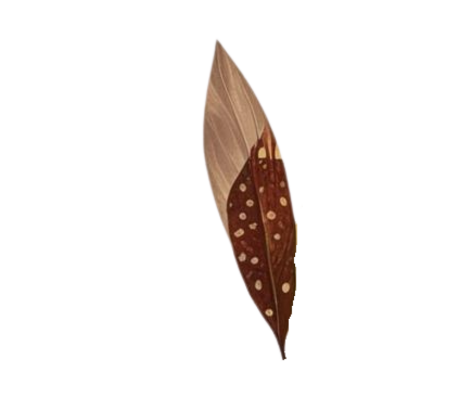 Close-up of a brown feather with lighter spots on one side.