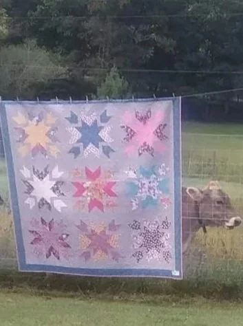 Heritage Day (Ag and Art Tour and Stories of the Stitch, Quilt Show)