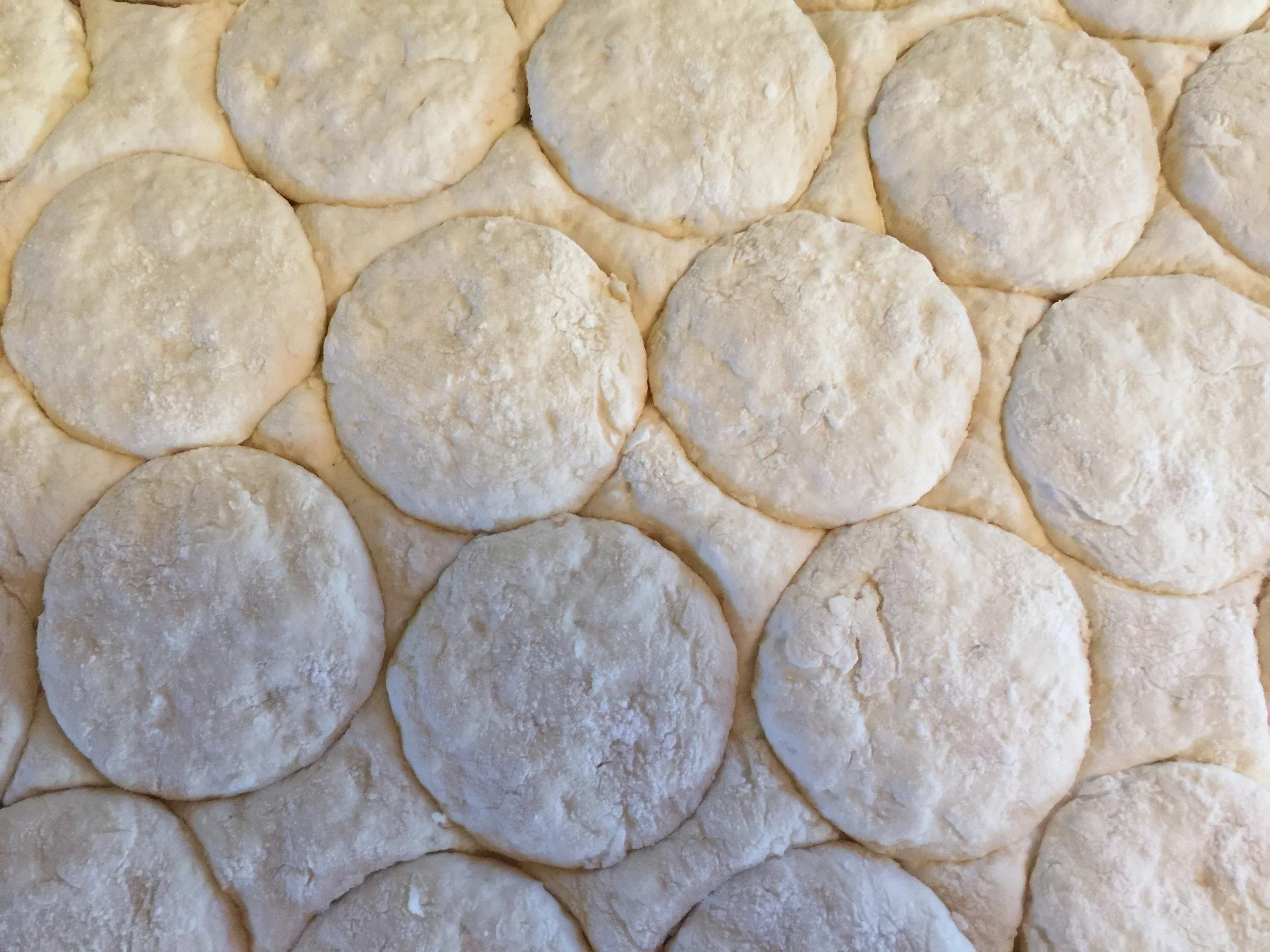 A Biscuits and Gravy Class