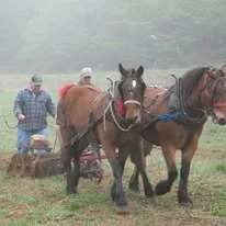 Plow Day