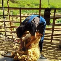 Spring Heritage/Planting Day