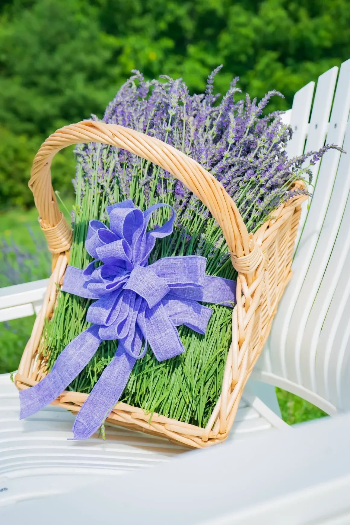 Class: Making Lavander Wands and learning about Lavander Eatables