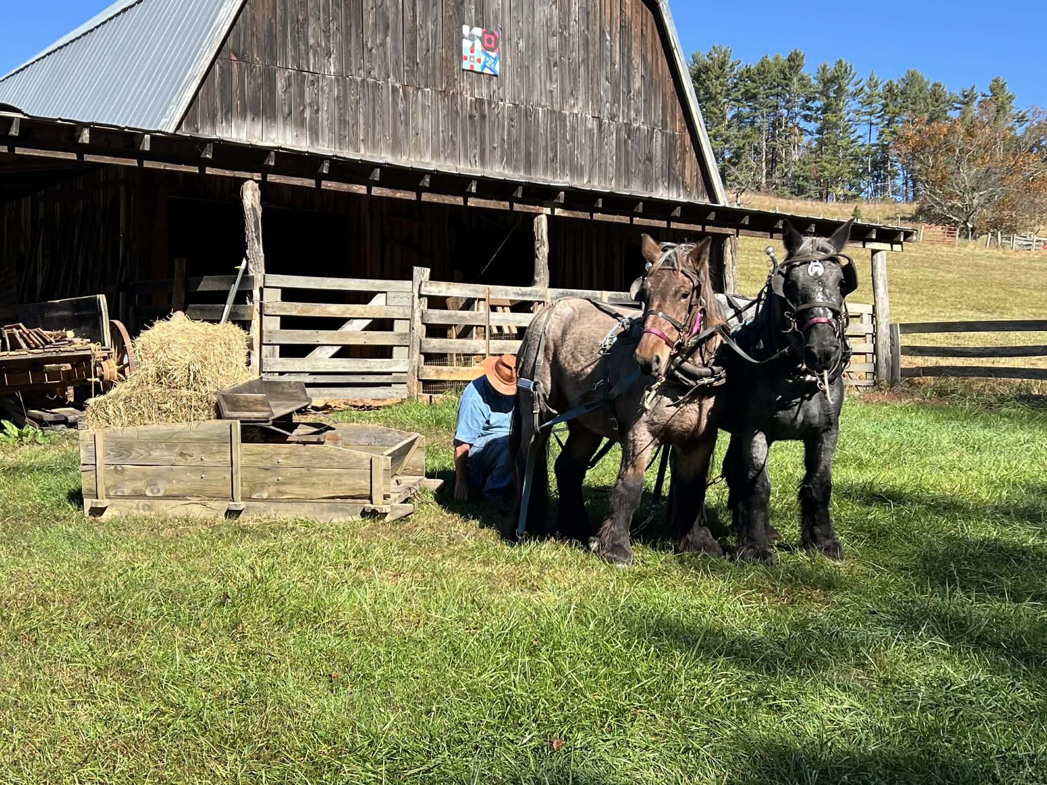 Workshop: Harnessing, Hitching, and Working a Team of Horses 