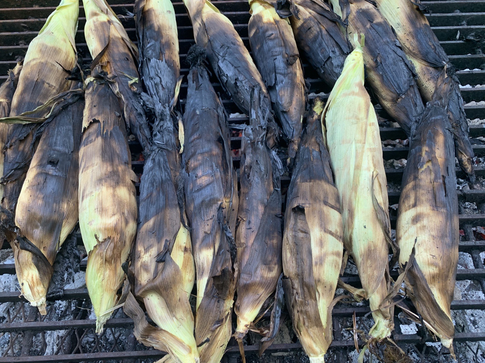 Roasting Ears  