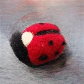 Felting Class