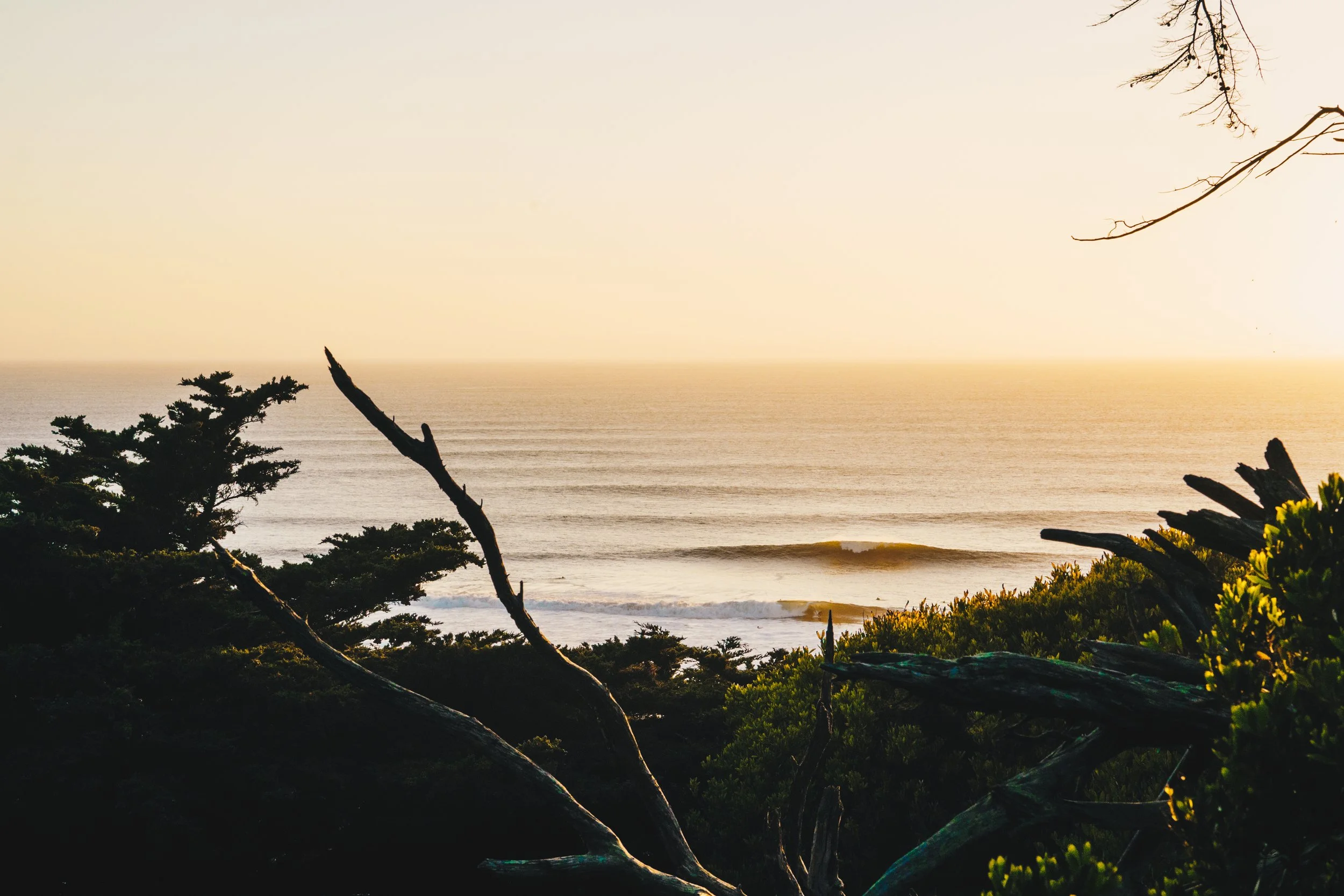 Ocean_beach_sunset.jpg