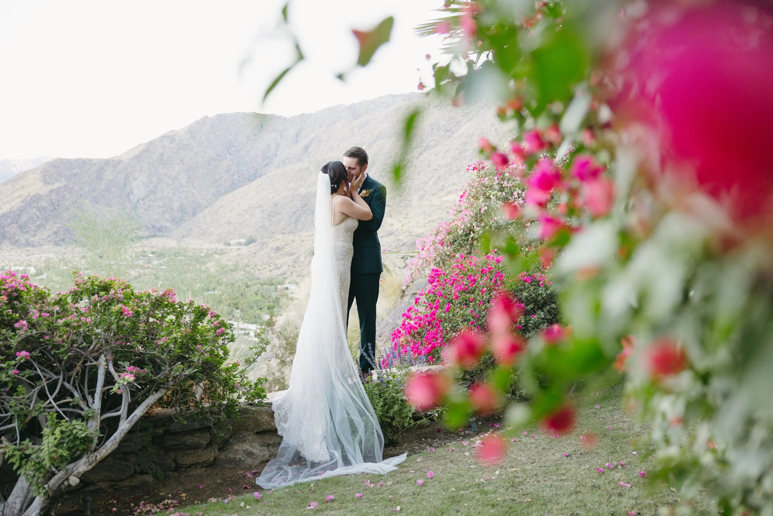 A bride and groom sharing a kiss outdoors, surrounded by pink flowering bushes with mountains in the background.