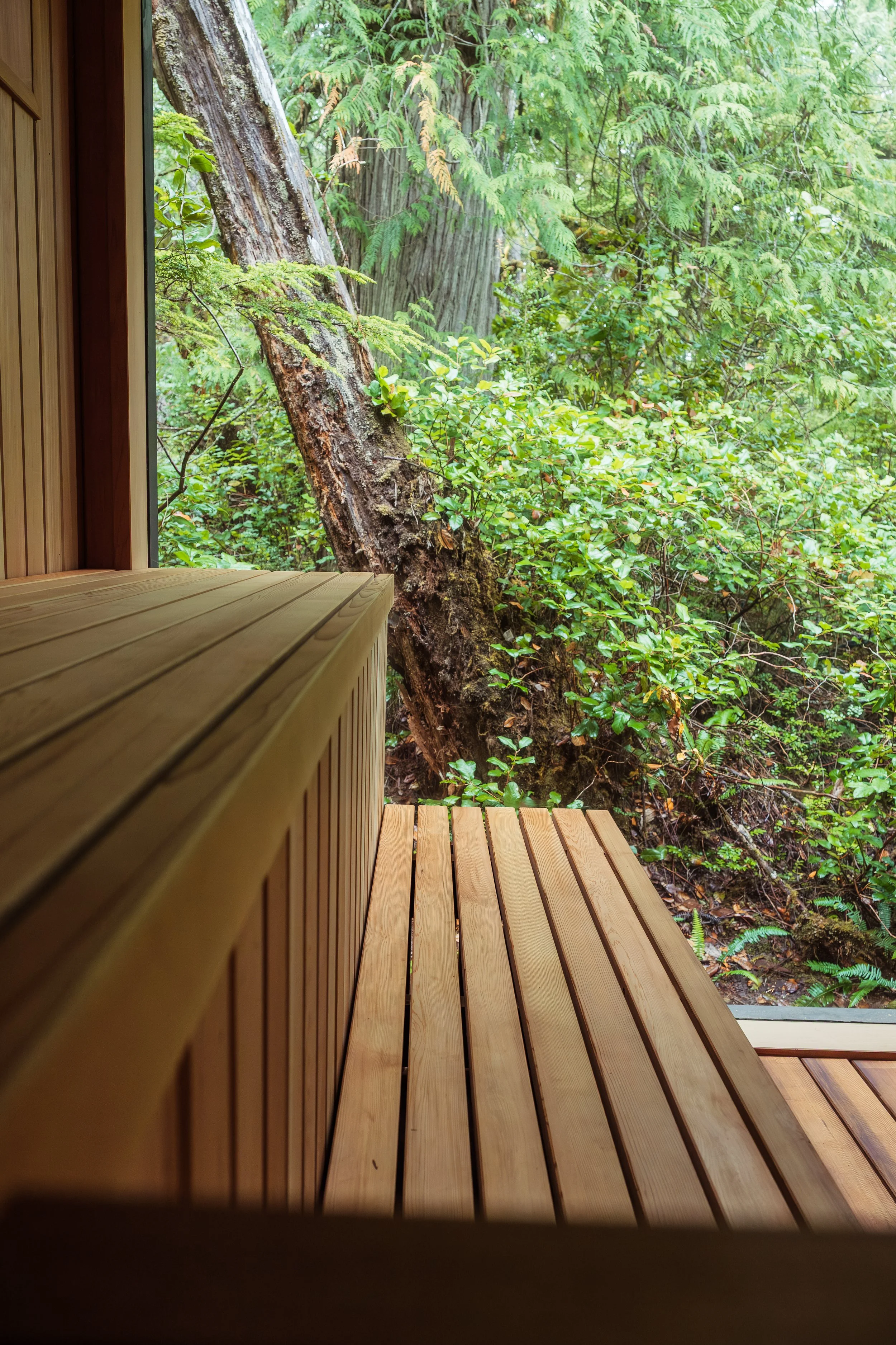 sauna-62.jpg