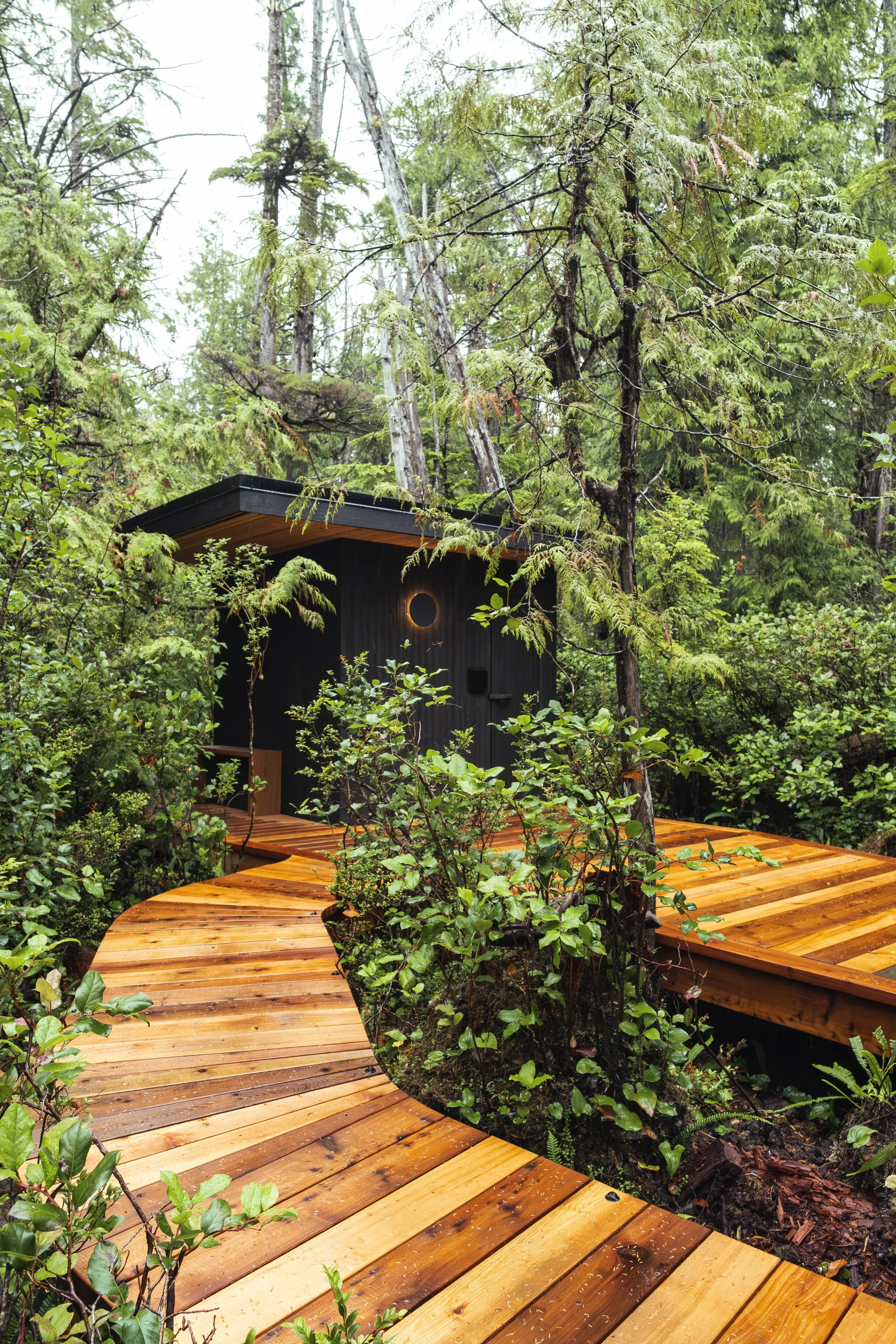 sauna-6.jpg