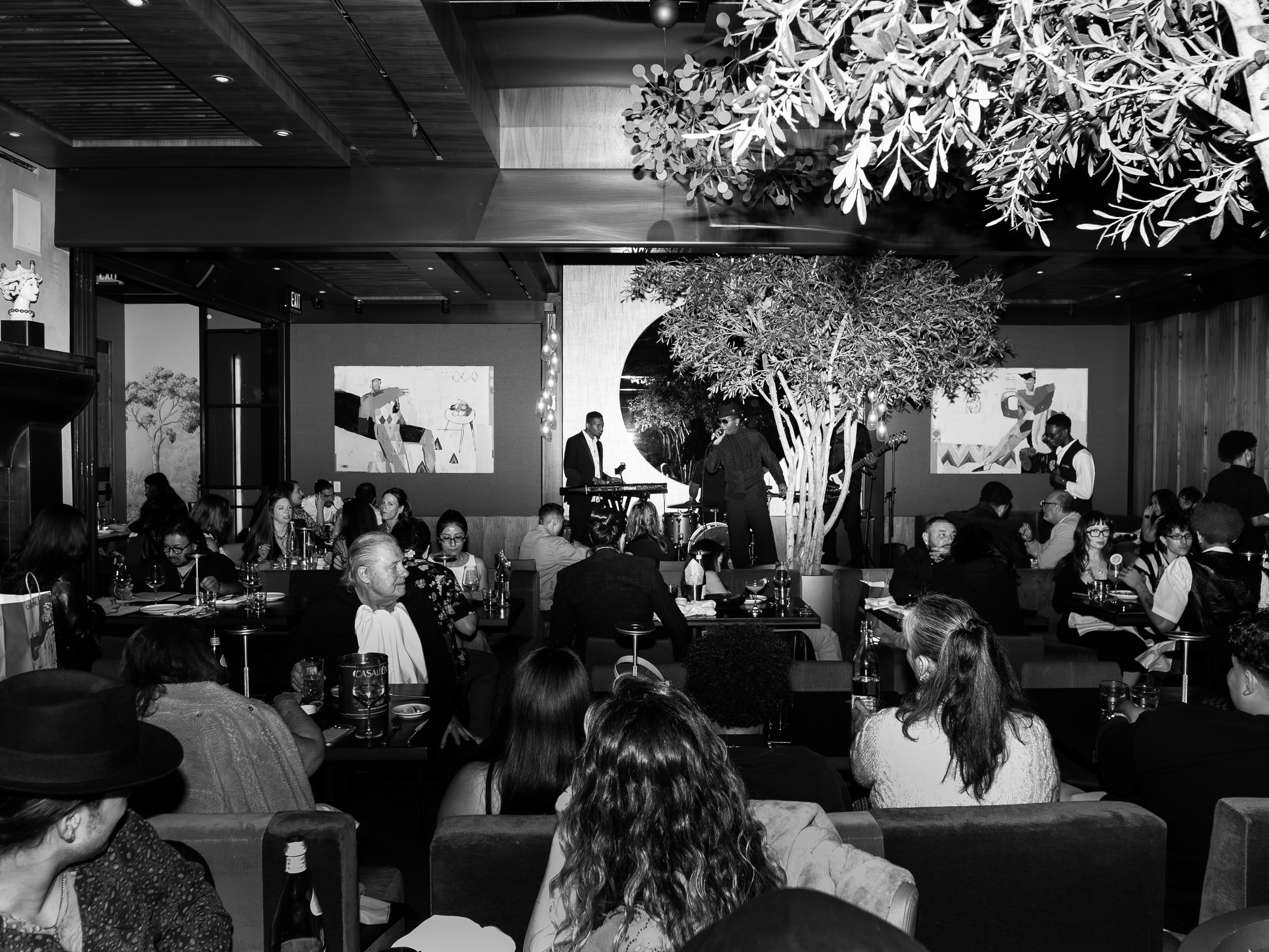 P1137756-bw.jpg