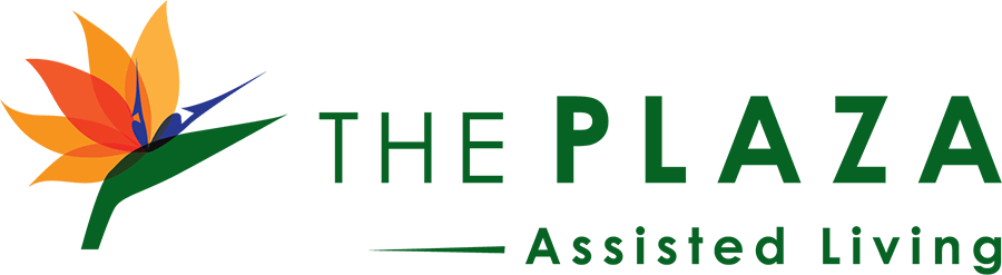 The Plaza