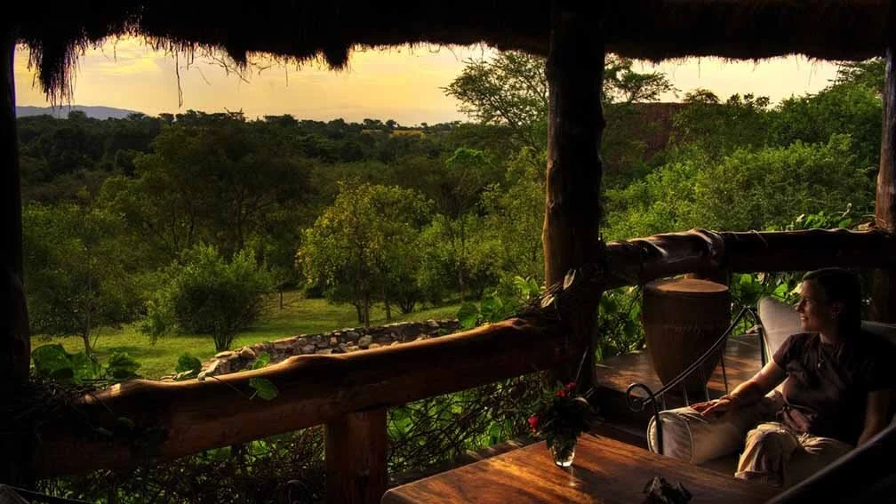 A woman sitting on a porch overlooking a lush green forest at sunset.